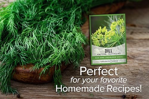 Miniatura 2 de Gardeners Basics Las semillas de eneldo para plantar son una reliquia, variedad de hierbas sin OMG, semillas de hierbas Anethum Graveolens, ideales