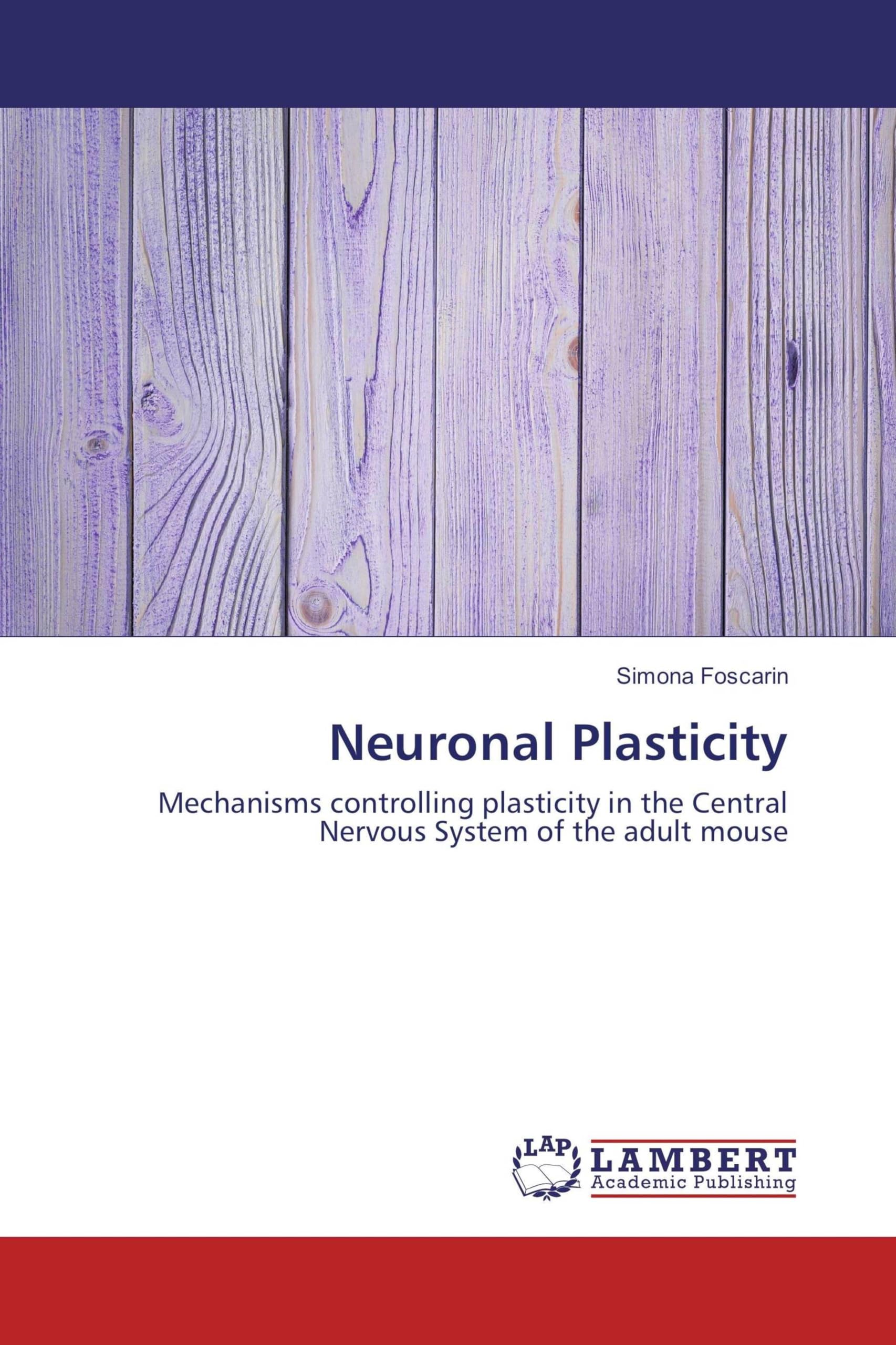 Neuronal Plasticity: Mechanisms controlling plasticity in the Central Nervous System of the adult mouse