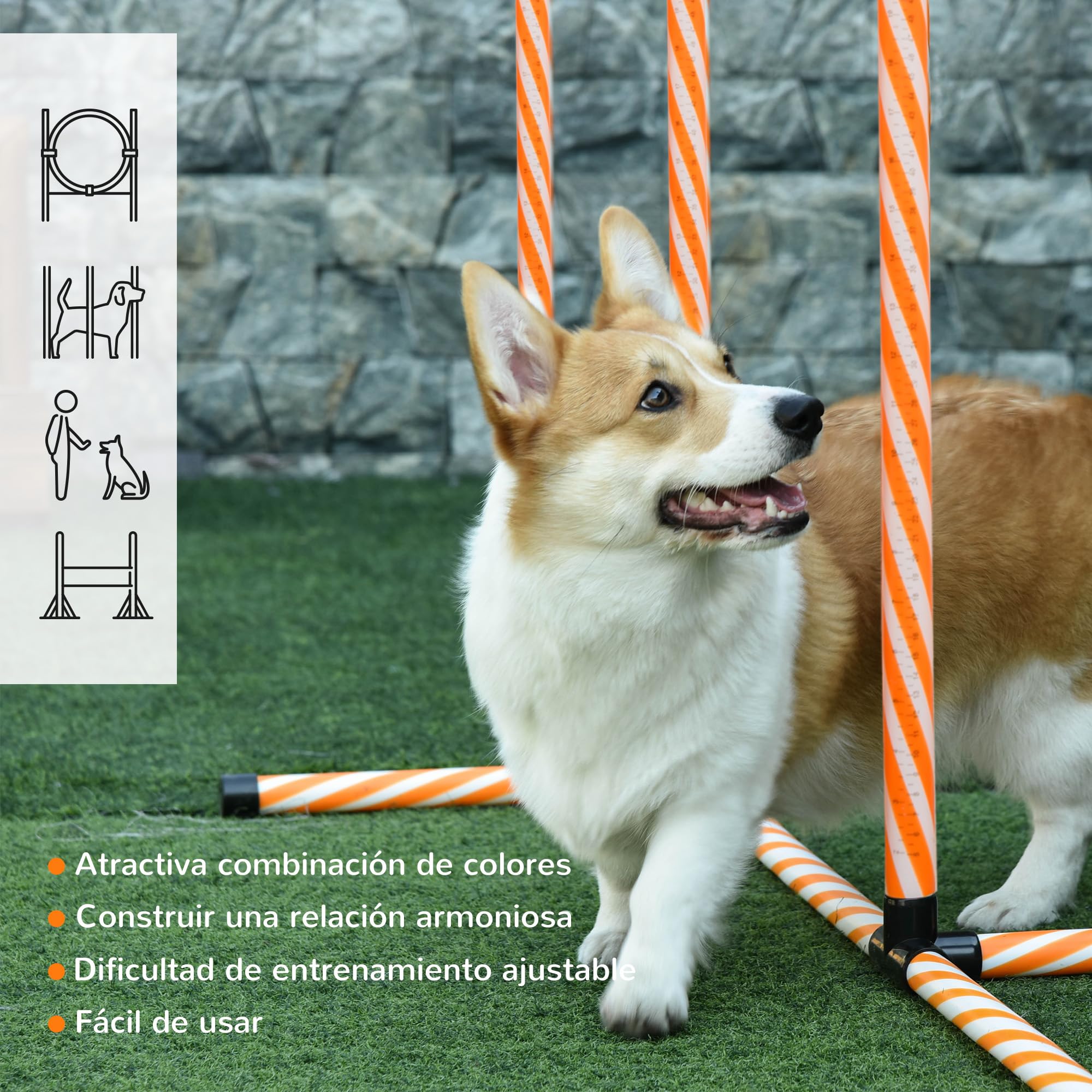 PawHut Set de Entrenamiento de Agilidad para Perros de 4 Piezas Juego de Agilidad para Perros con Piquetes para Slalom Zona de Reposo Valla y Anillo de Salto Naranja