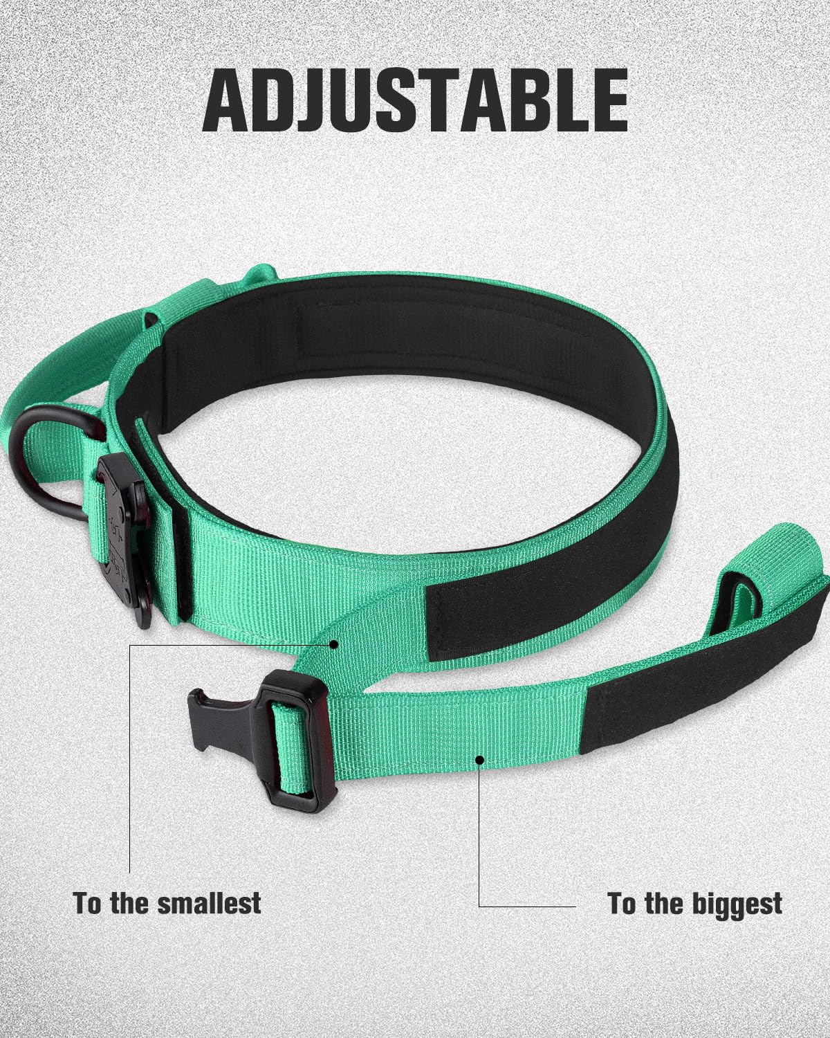 Collare Tattico Per Cane Taglia Media - In Nylon, Con Fibbia Metallo, Regolabile, Turchese, Misura M - Foto 4