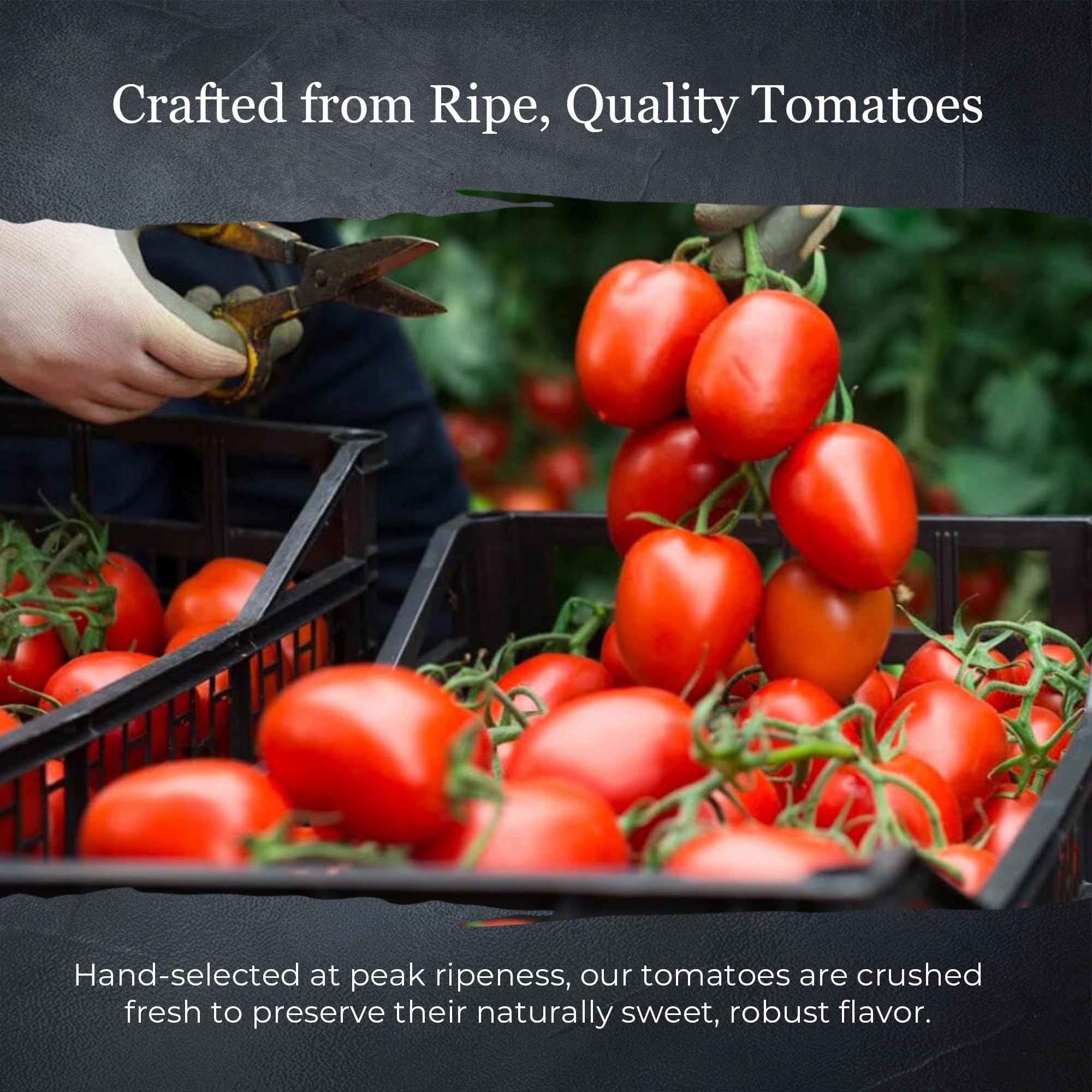 Vantia Crushed Tomatoes All Natural 28 oz Can – Imported Italian Chunky Crushed Tomatoes in Rich Tomato Juice, Perfect for Pasta Sauce, Soups, Stews & Classic Italian Cooking