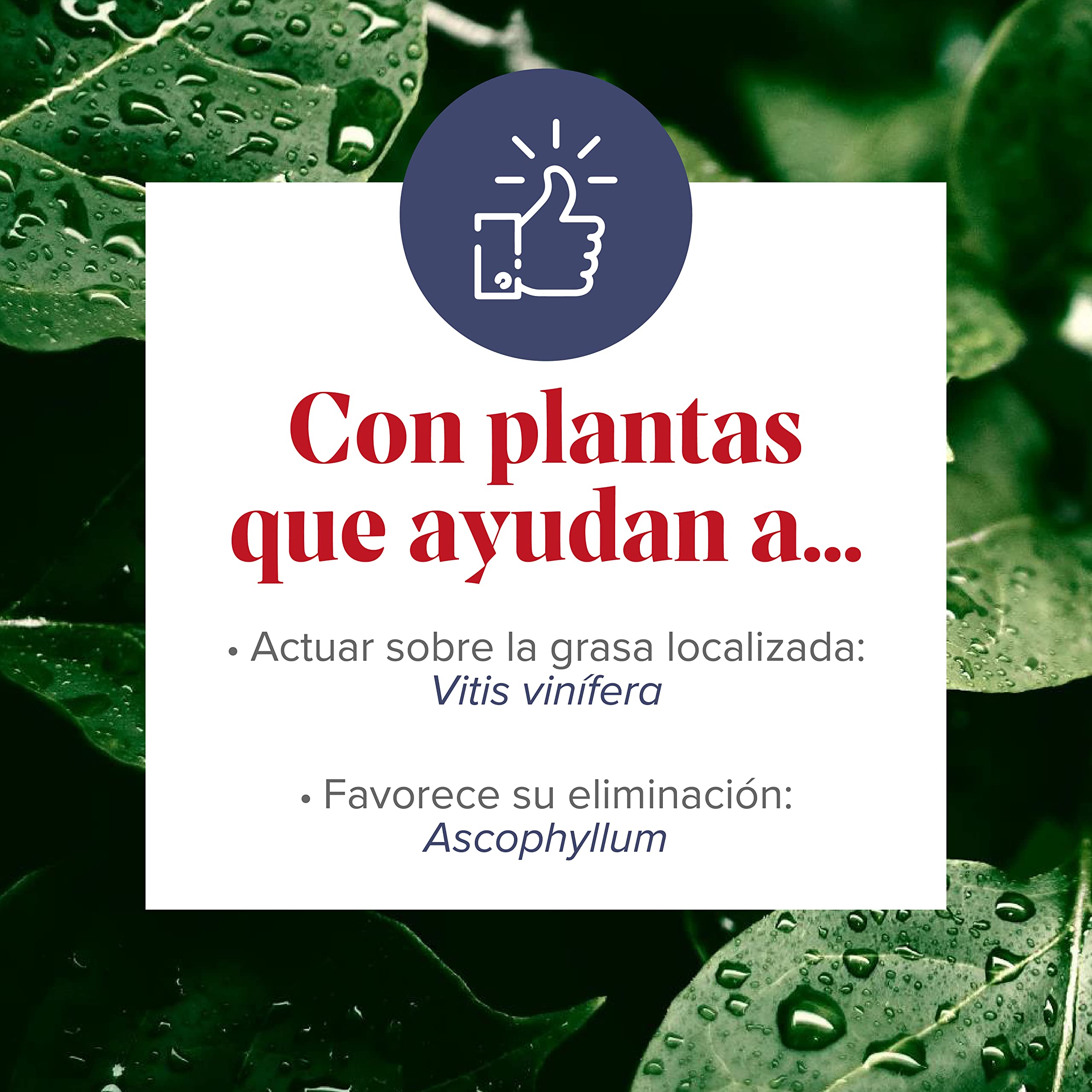 Arkopharma Figurmed Zonas Rebeldes 60 Cápsulas, Ayuda a Reducir la Celulitis de Forma Natural y la Grasa Localizada en Piernas y Glúteos + Asesoramiento Nutricional, Complemento Alimenticio
