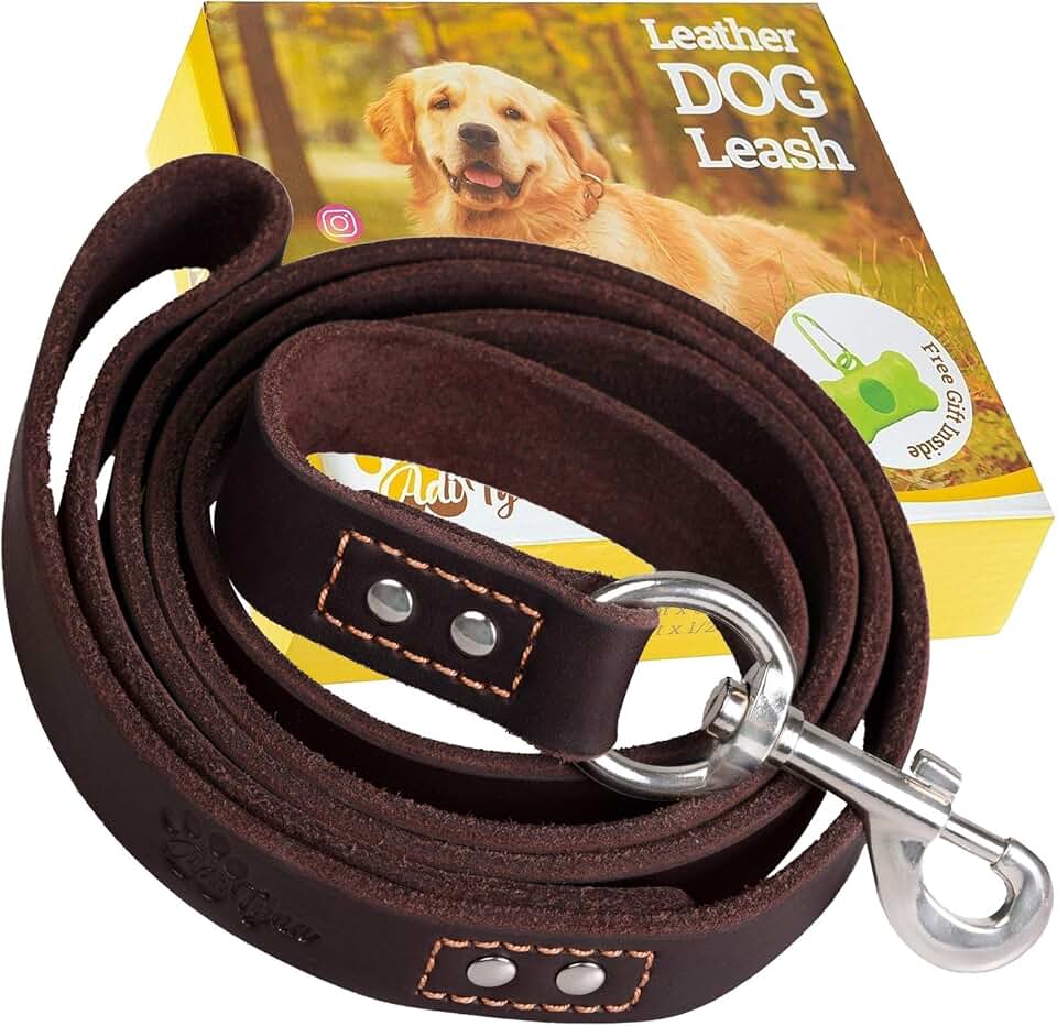 Amazon.ca Leather Leashes