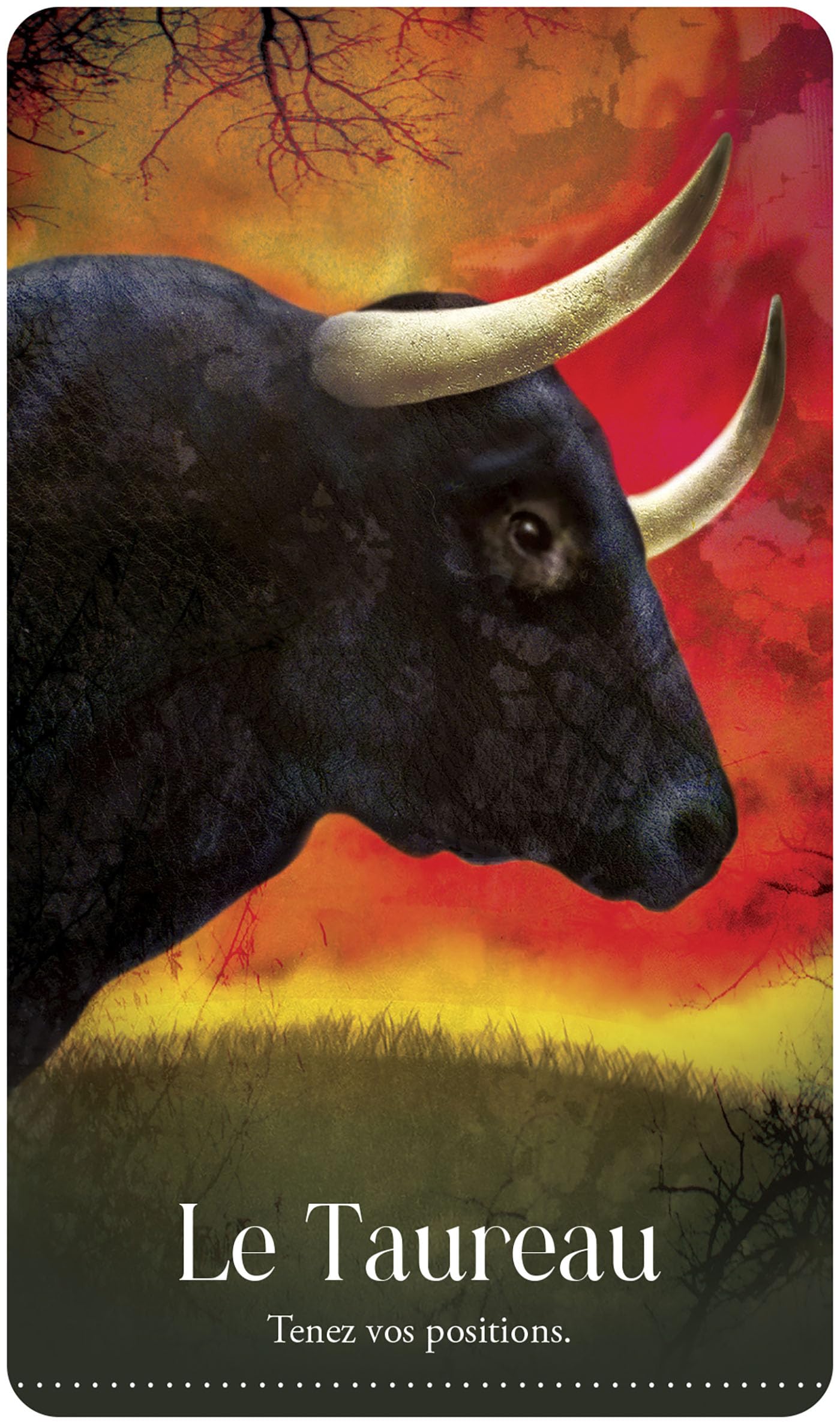 L'Oracle des Animaux rêvés