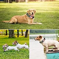 Vista 6 de Collar táctico para perro, collar ajustable de nailon para entrenamiento militar con asa y hebilla de metal resistente para perros medianos