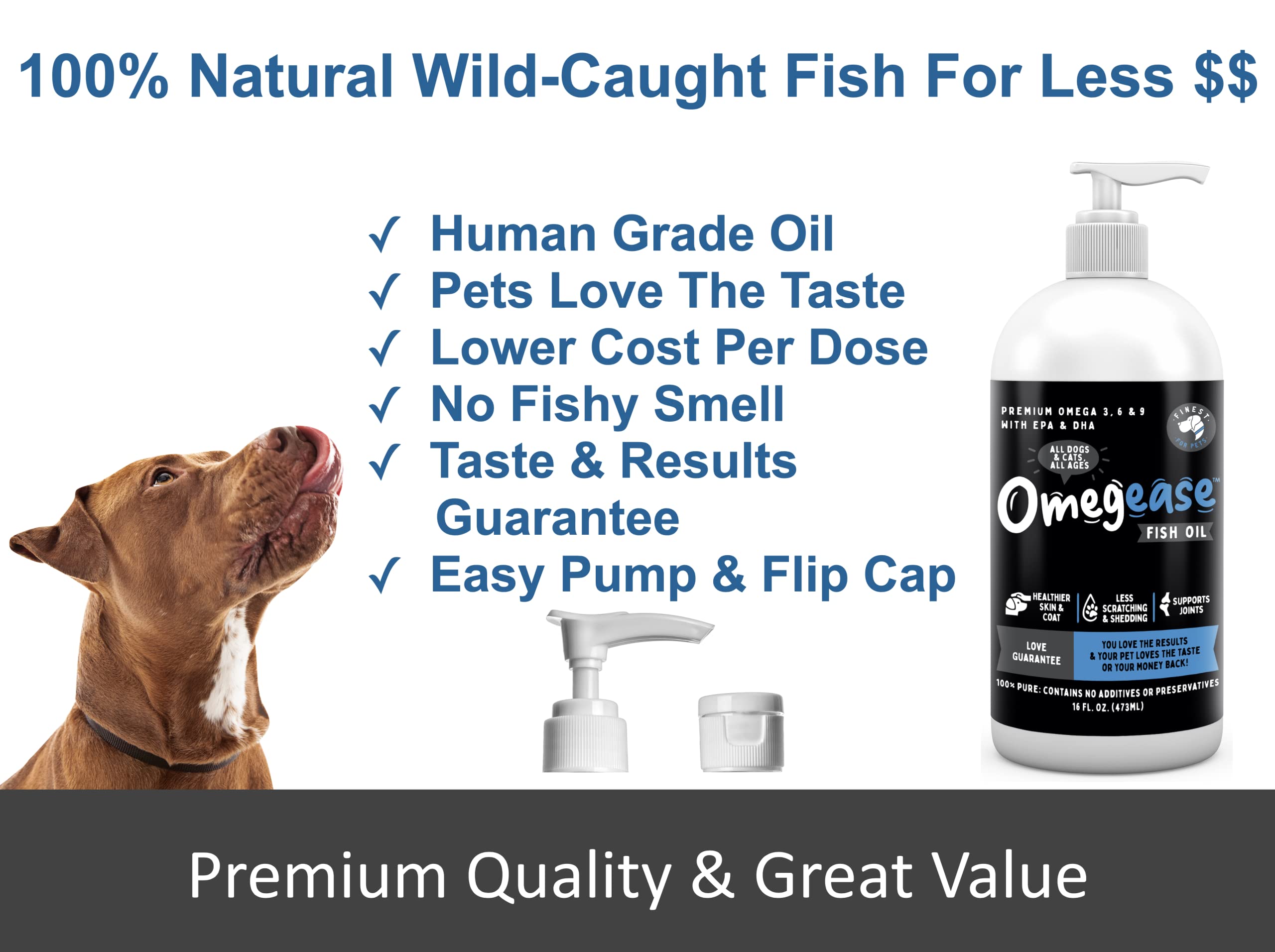 Are Fish Oils Bad For Dogs