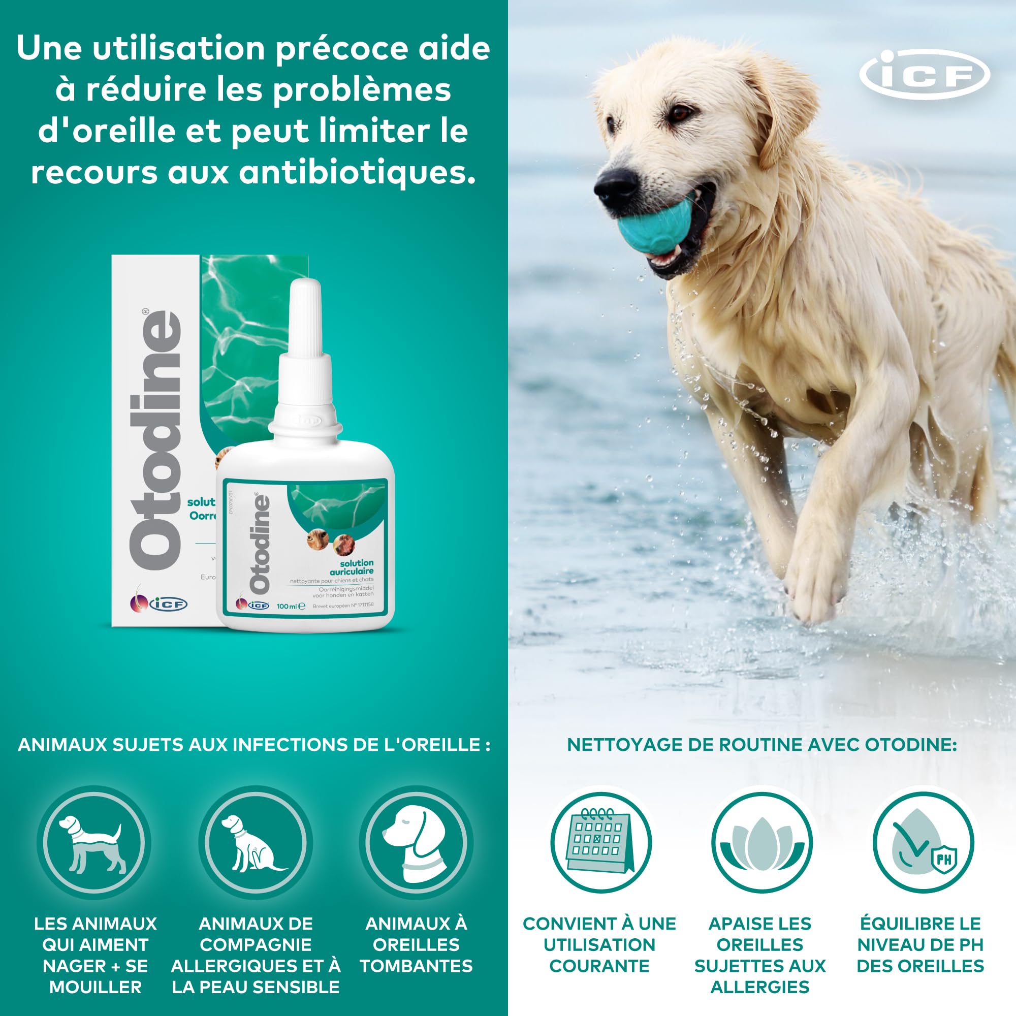 ICF Otodine | Nettoyant Oreille Chien et Chat | Nettoyant Auriculaire Assainissant pour Chien et Chat | Soin pour l'Hygiène et la Santé Auriculaire des Animaux Sujets à l'Otite Externe | 100ml