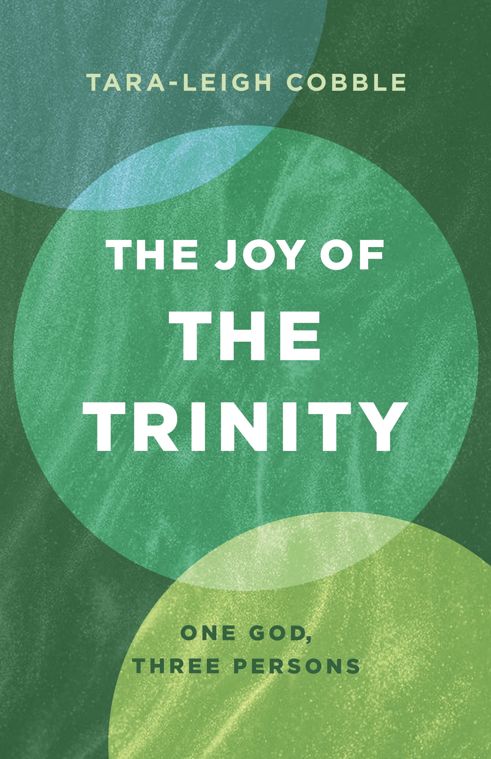 The Joy of the Trinity: One God, Three Persons Paperback – Big Book, 30 April 2024
