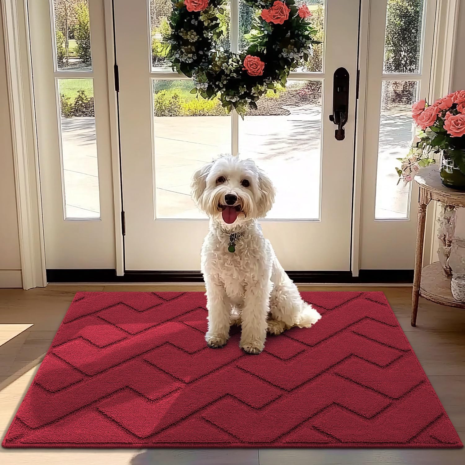 COSY HOMEER Deurmat 80 x 120 cm, deurmat voor binnen, antislip