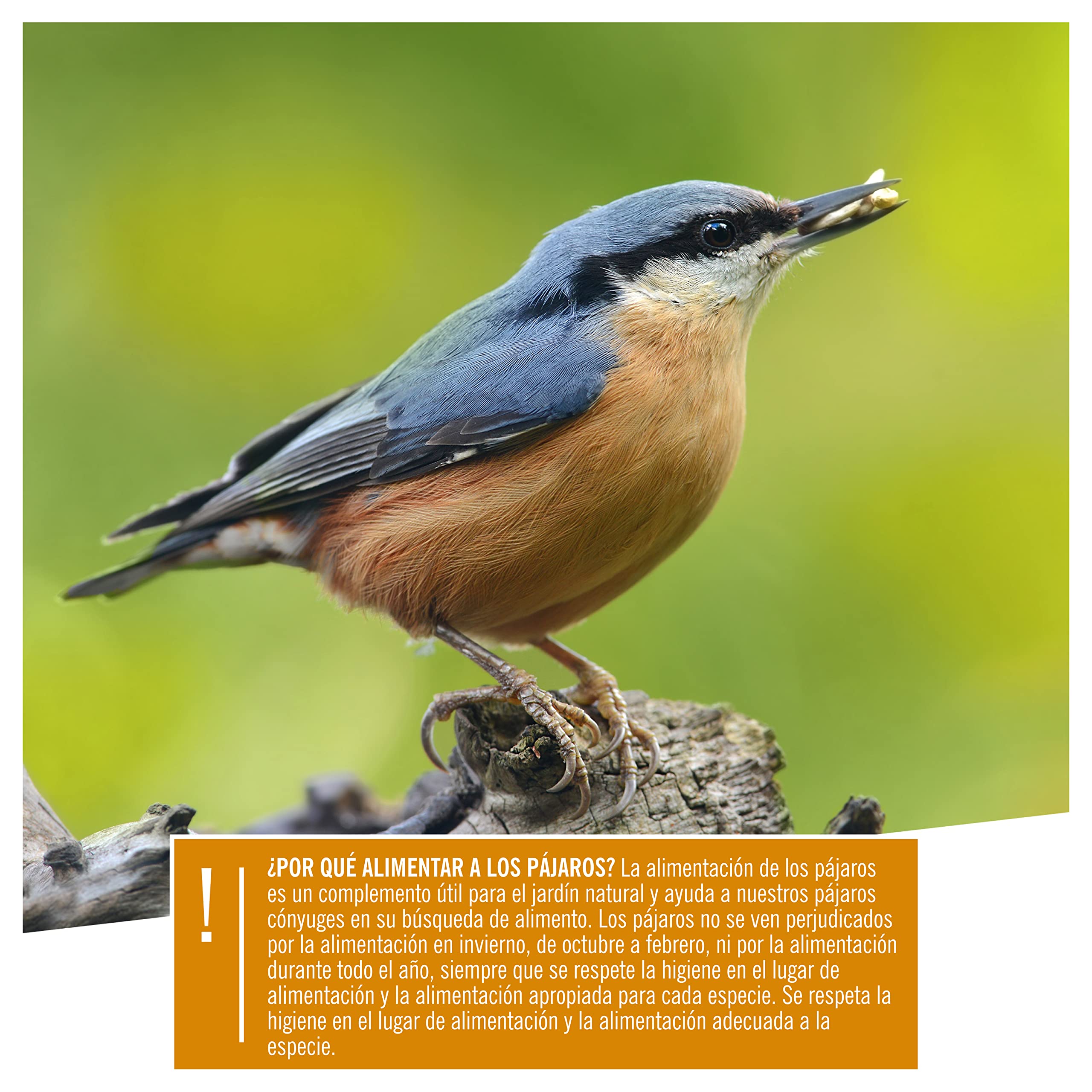 wildtier herz I Alimentación para Pájaros - sin Cáscara - Consistencia Fina (5kg) I Comida de Aves para Alimentos - Alimento para Aves