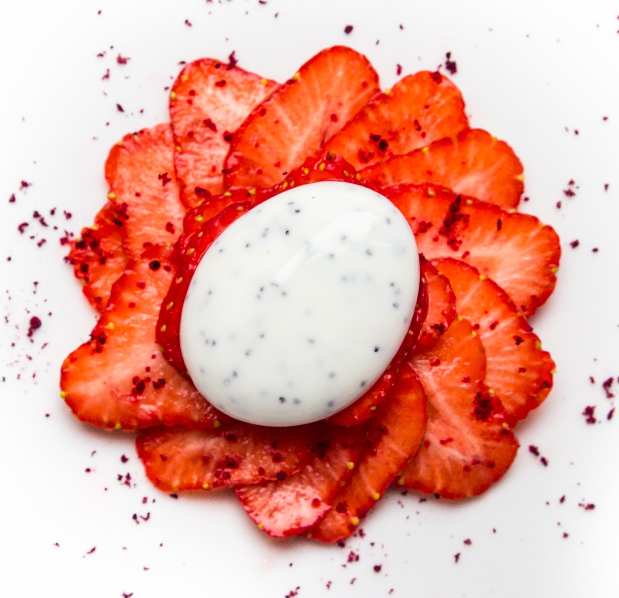 Special Ingredients Nowoczesny zestaw gastronomiczny (zestaw do nowoczesnych ciast) niemiecka książka z przepisami i instrukcja obsługi