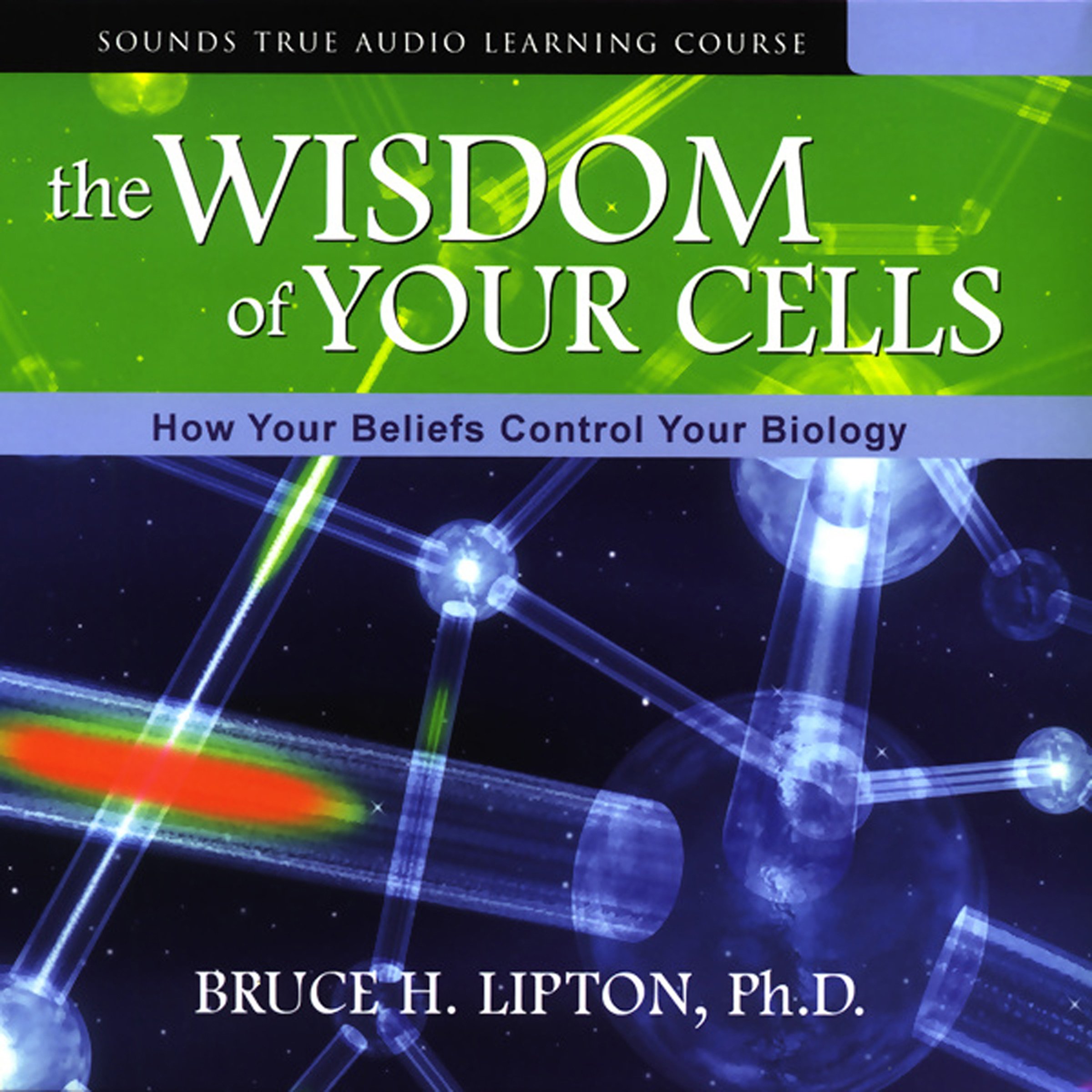 The Wisdom of Your Cells: How Your Beliefs Control Your Biology