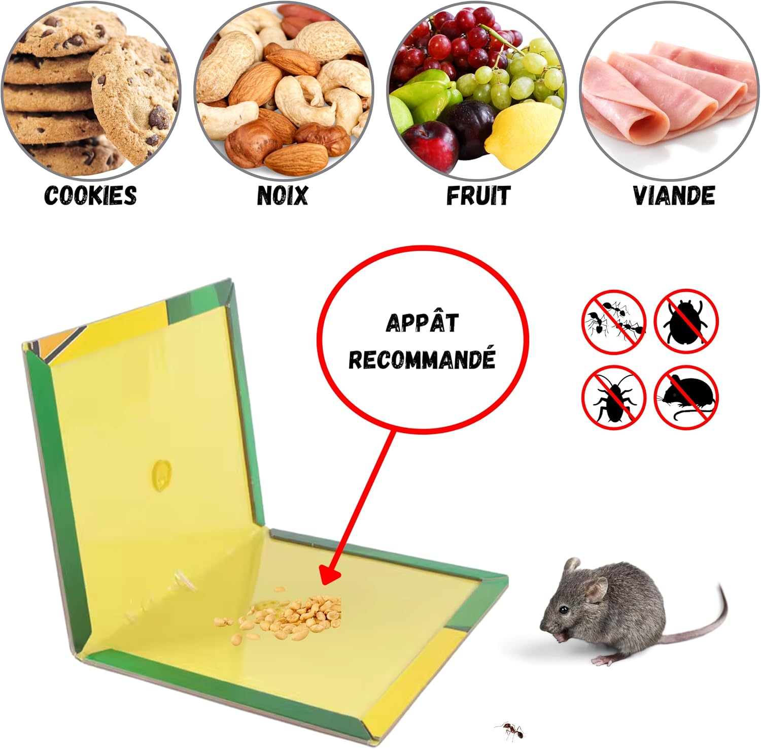 YARANY Piège à Souris et Rats – Plaques de Glu Ultra Collantes | Piège à Colle sans Poison, Attrape Souris Efficace, Anti Rongeurs Intérieur/Extérieur, Non Toxique et Jetable, Lot de 5 Plaques - Vert — vue 5