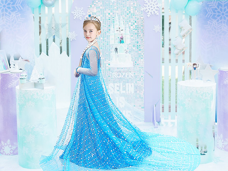 Amazon.com: Esvaiy Girls Princess Elsa Dress Costume