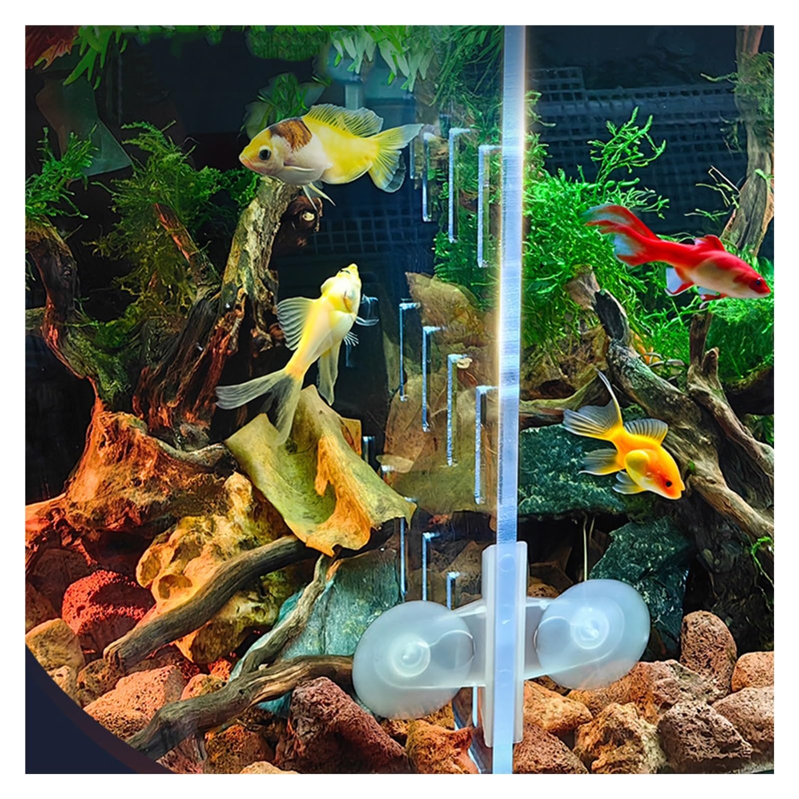 Dimensioni Personalizzate Acrilico Divisorio Per Acquario, Regolabile Trasparente Set Separatore Per Acquario Con Ventose, Trasparente Divisorio Per Acquario(6mm thick)