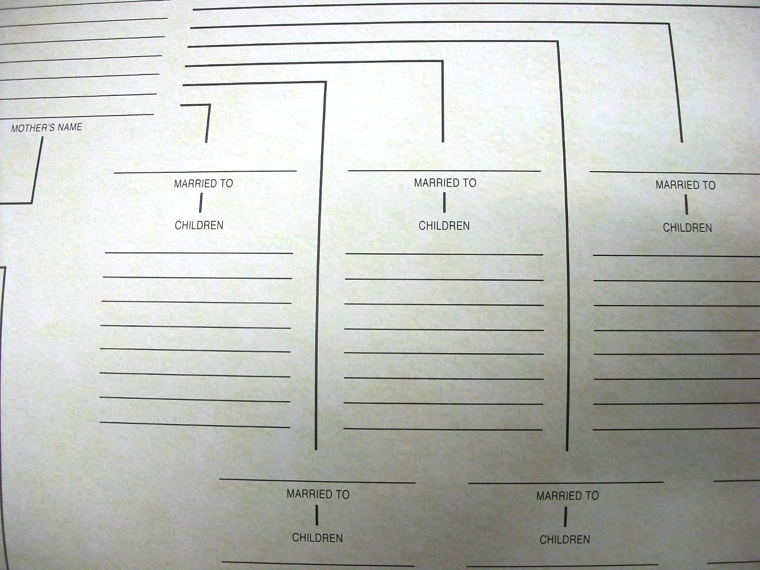 Family Tree Chart Genealogy