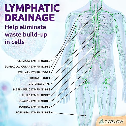 Vista 31 de COZLOW Rodillo de masaje de madera (12 rodillos) – Herramienta de masaje de terapia de madera curvada para esculpir el cuerpo, liberación de fascia