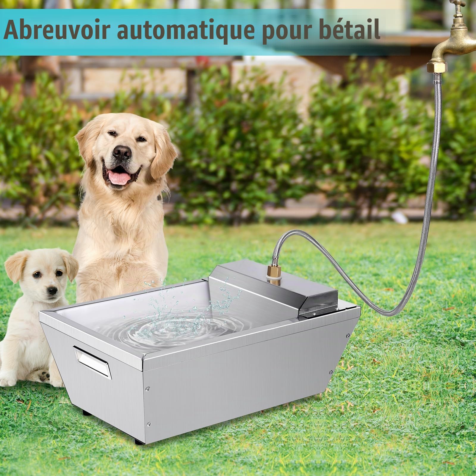 Abreuvoir Automatique pour Chiens en Métal, Grande Capacité 13 L Auto-Remplissant, Convient pour Chevaux, Chèvres, Moutons et Animaux Domestiques