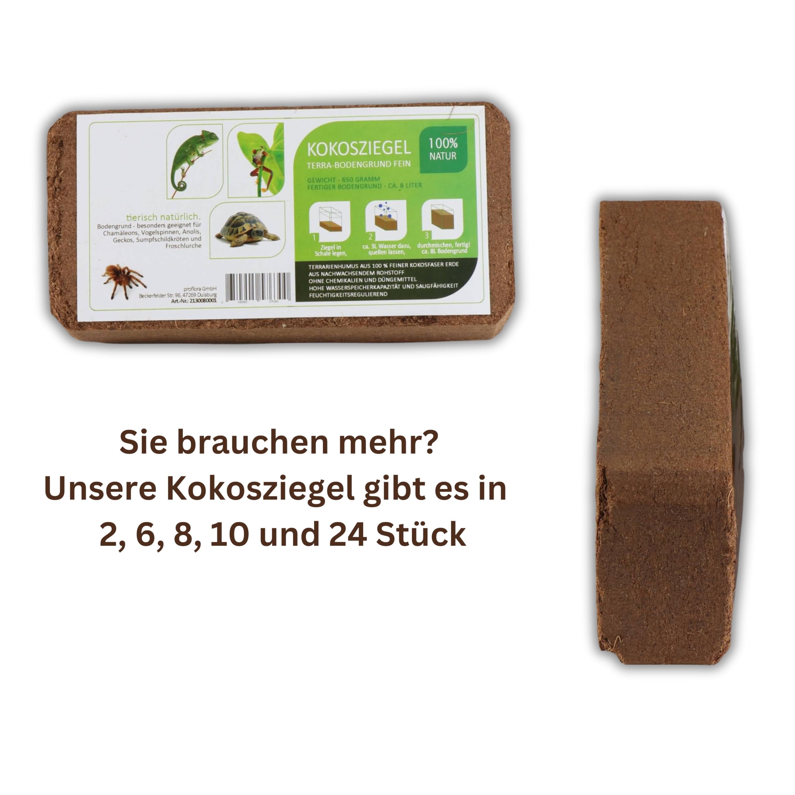 ProFlora® Kokoserde Terrarium Bodengrund gepresst - Biologisch abbaubare, torffreie Erde aus Kokosfasern (10 Stück)