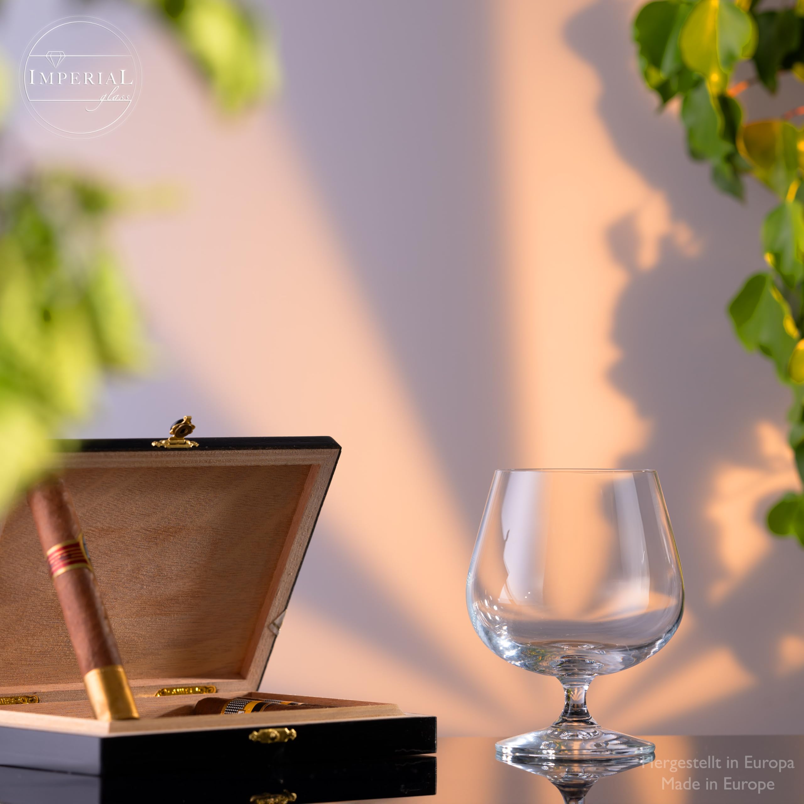 IMPERIAL - Set di 6 bicchieri da cognac in vetro cognac da 480 ml