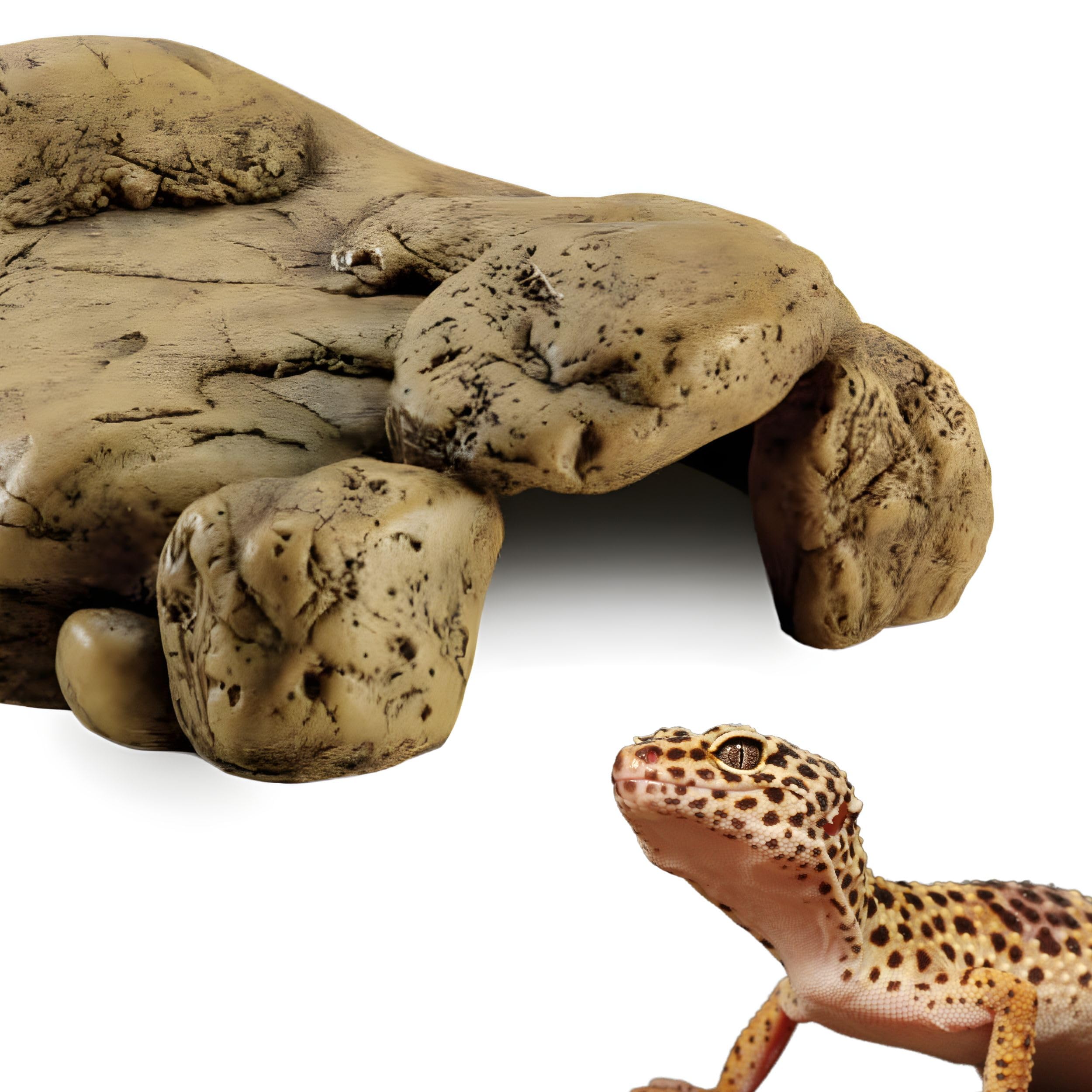 Exo Terra Cueva Natural Hiding Extra Grande - 3