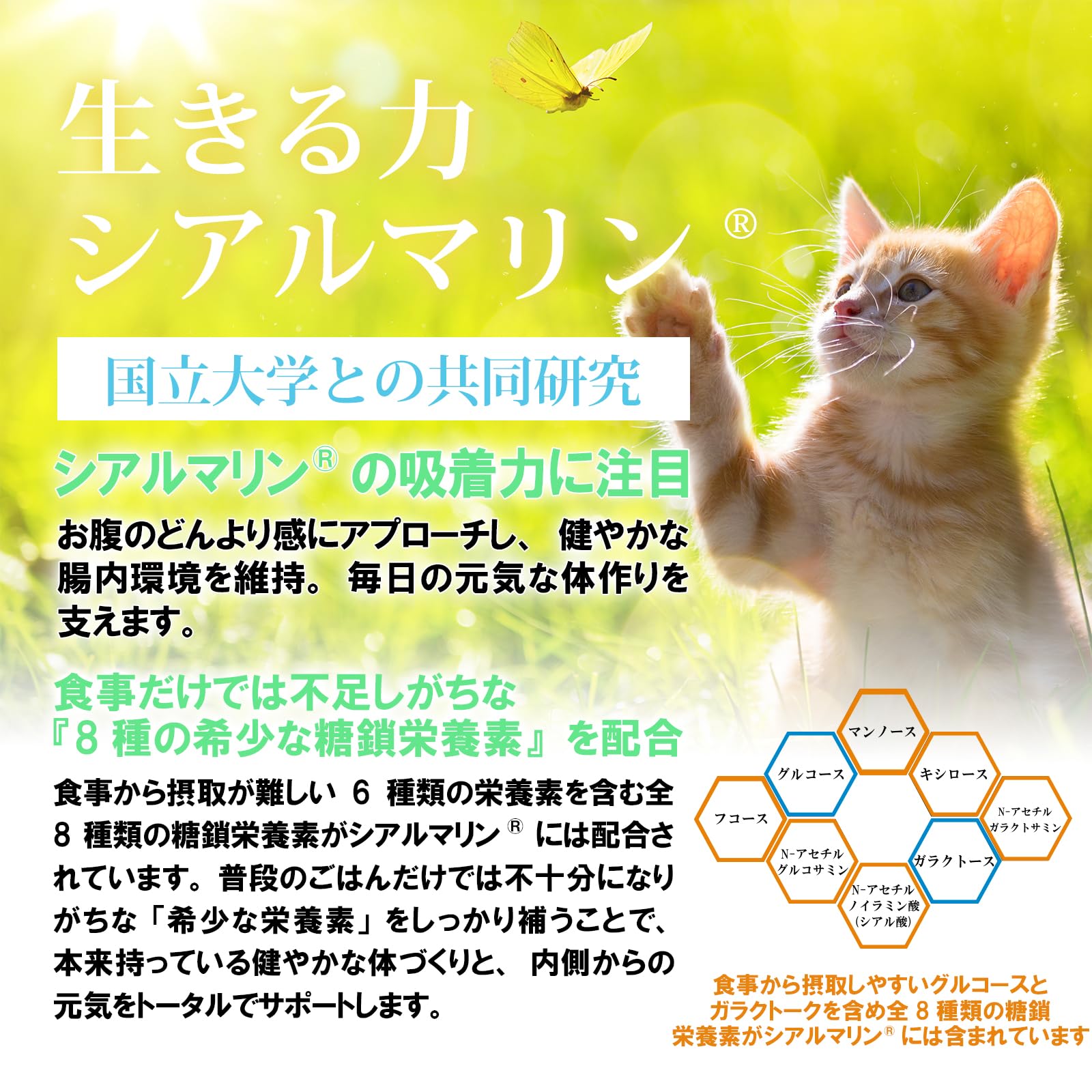 Amazon | 猫用【腎臓 食欲 腸内環境】メディカルワン クリーミータイプ