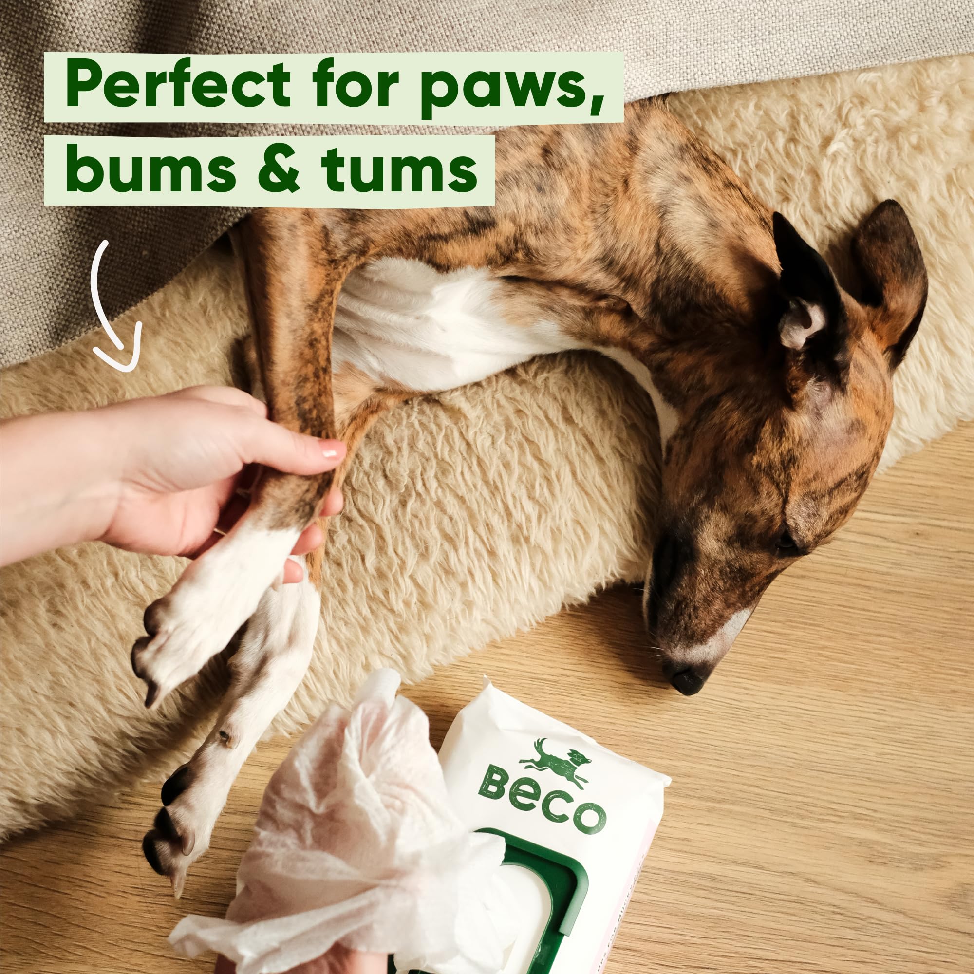Beco Dog Wipes - 4 Packs of 80, Unscented, for Paws Body and Bum, Plant-Based Grooming Wipes, white, 80 count (Pack of 4) - Image 3