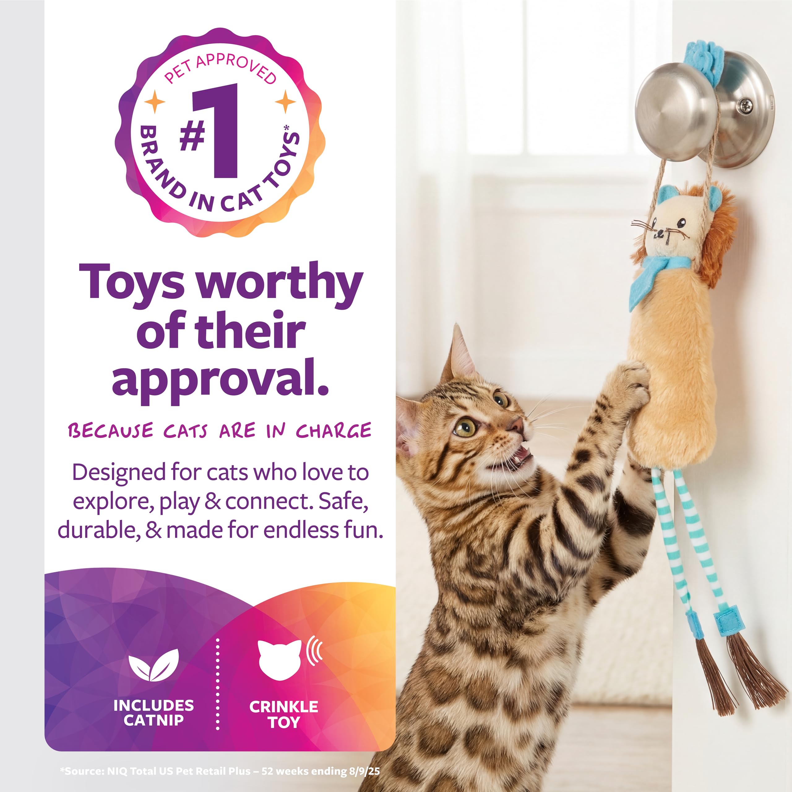 Amazon.com : SmartyKat Loopy Lion Door Hanging Breakaway Kicker