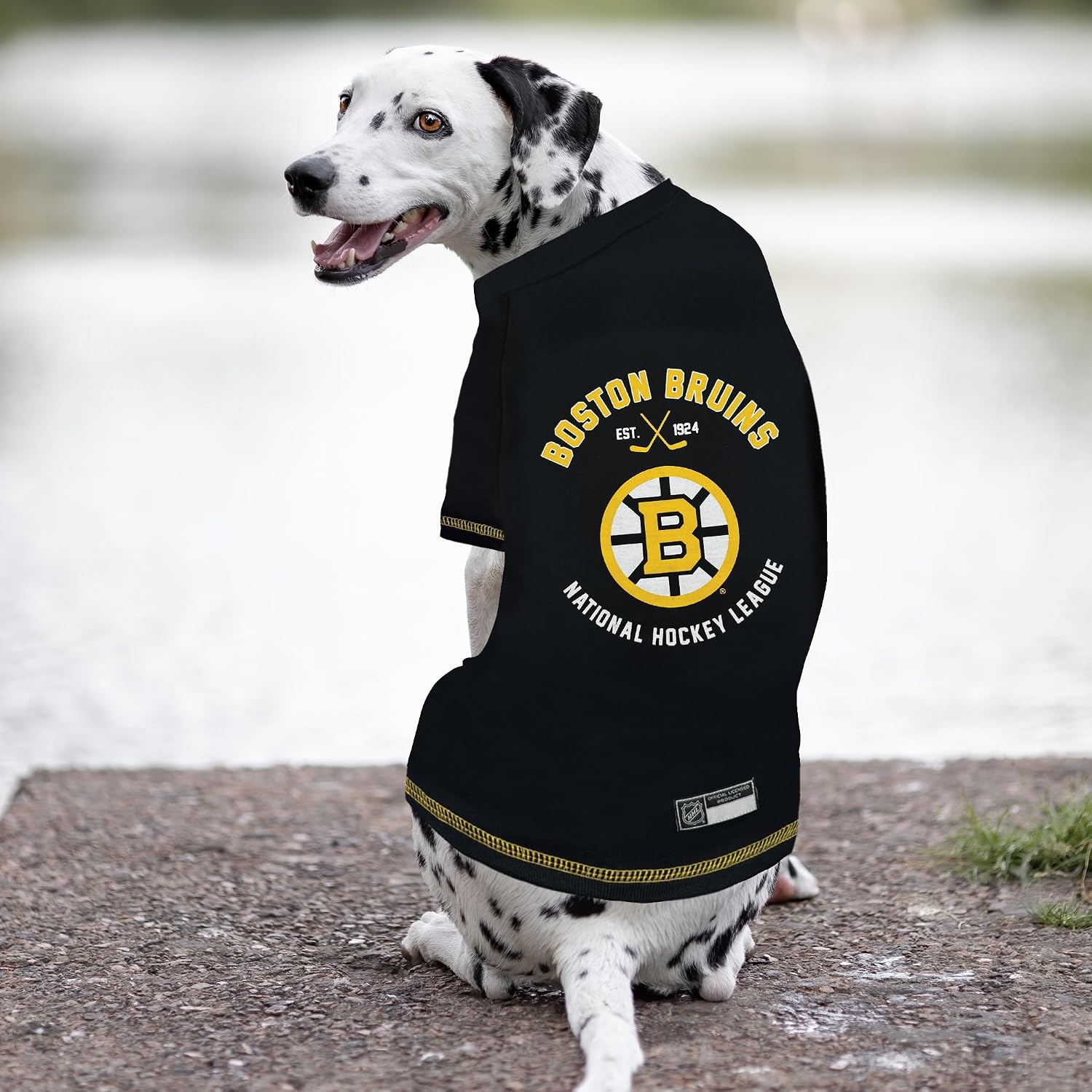 Pets First NHL Boston Bruins Tee Shirt for Dogs & Cats, Medium. - are You a Hockey Fan? Let Your Pet be an NHL Fan Too!, Medium Hockey T-Shirt