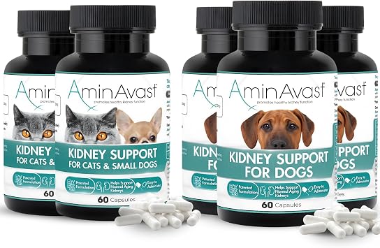 AminAvast Kidney Support Supplement for Cats, Small Dogs 300mg 2-Pack and Dogs 1000mg 3-Pack - Promotes Natural Kidney Function and Vitality - 60 Sprinkle Capsules
