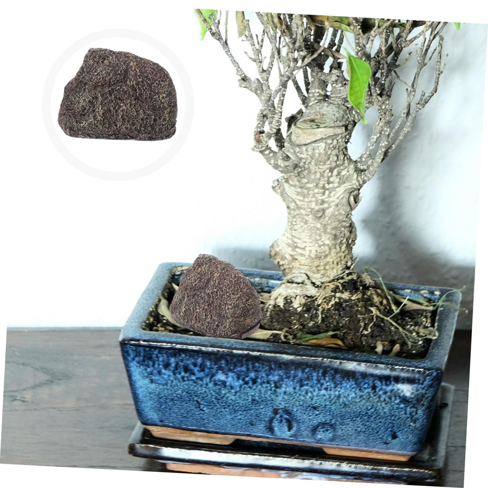 Hemobllo 5pièces Boîte De Rangement Secrète Pierre Imitation pour Clés Cache Clé Extérieur Décoratif pour Jardin Pratique pour Stockage Sécurisé
