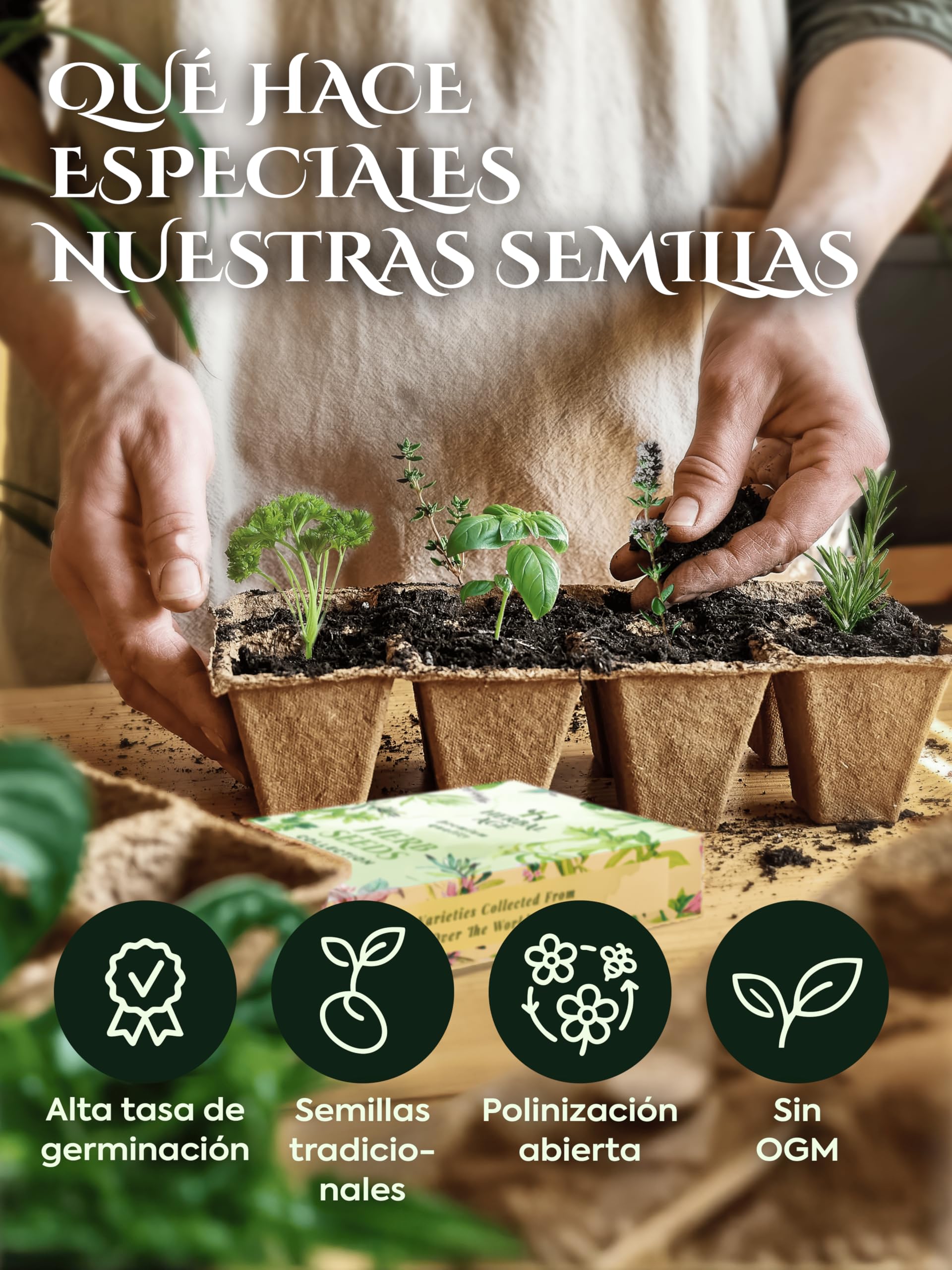 Kit Semillas Huerto Urbano De 12 Vegetales – Pack de 2, 10.200 Ecológicas Semillas De Tomate, Pepino, Lechuga, Tomates Cherry – Kit Huerto En Casa Pack, Regalos Originales Para Hombre y Mujer