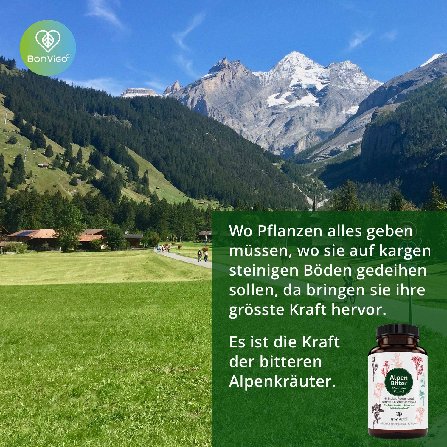 AlpenBitter 3 Monate - 13 Kräuter Bitterstoffe Formel mit Mariendistel, Enzian, Wermut & Löwenzahn – Cholin unterstützt Leberfunktion & Fettstoffwechsel – Nach altem Klosterrezept (3)