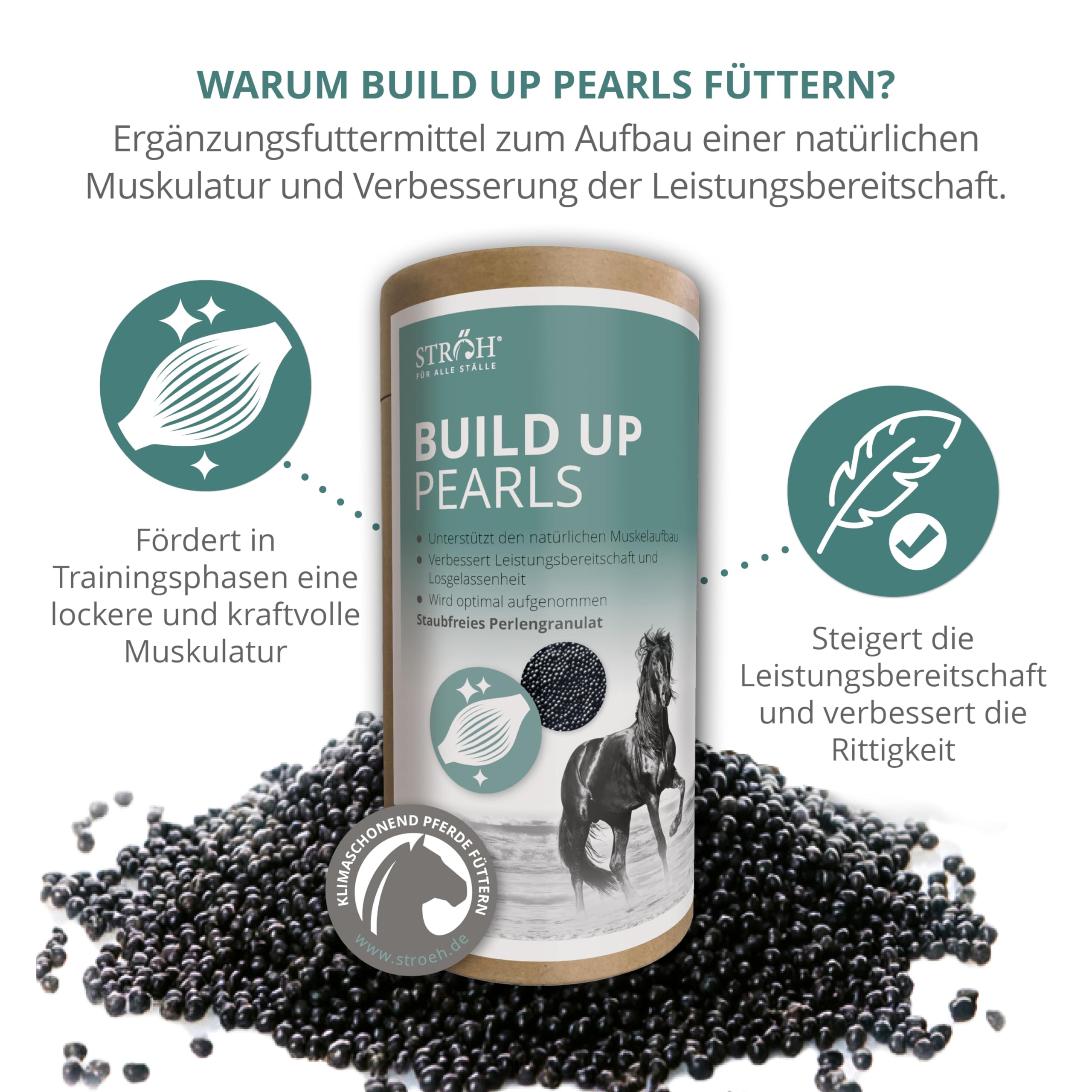 STRÖH Build Up Pearls für Pferde (1,4 kg Feedbox Dose) • Für Muskelaufbau & Kondition • Aminosäuren-Komplex mit Vitaminen • Unterstützt Regeneration & Leistung • Für Sport- & Freizeitpferde
