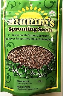 Organic Red Radish (Radis Rouge) Sprouting & Microgreen Seeds, Mumm's, Large Size: 200 Grams - Non-GMO - Great protein source and high in vitamins A, B6, C, calcium, iron, magnesium, phosphorus, potassium, and zinc.