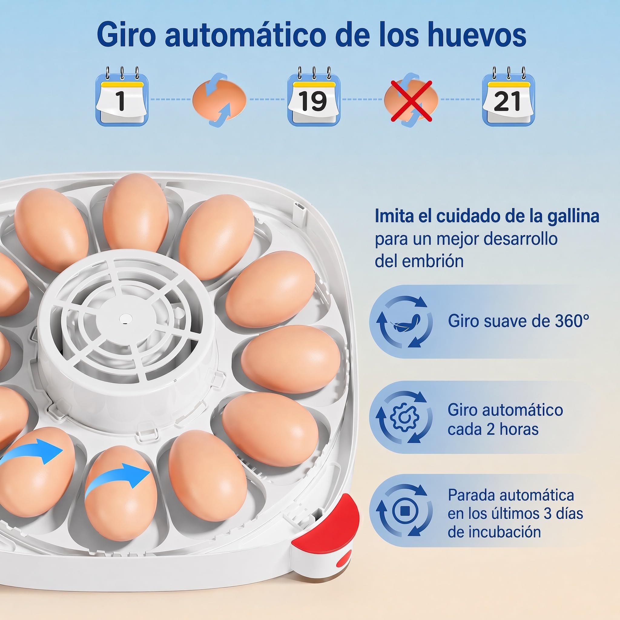 Sailnovo incubadora automática para 12 huevos, 4 modos para aves, con volteo automático, control de temperatura y alarma de humedad, incubadora para huevos de gallina, pato y codorniz (Azul)