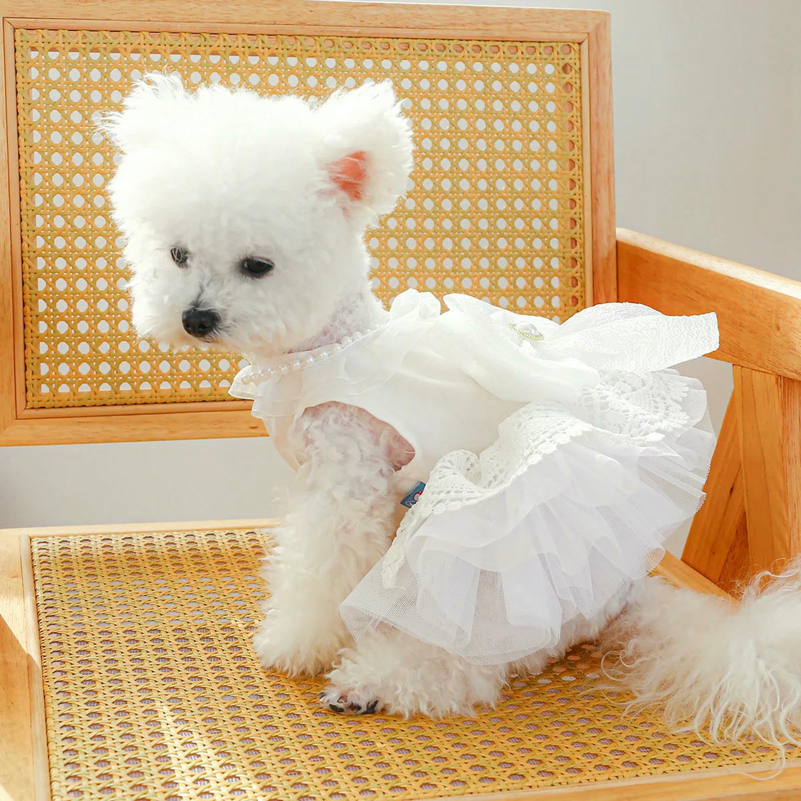 Vestiti per Cani Cane in Pizzo di Lusso da Cane Sposa Costume Morbido Comodo Abito da Matrimonio per Cani da Sposa Abbigliamento per Animali-Bianco-XL