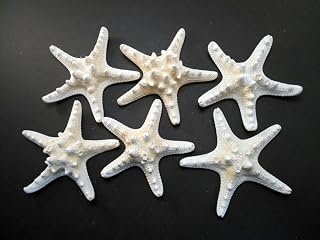 Set of 6 White Knobby Starfish for Beach Wedding Crafts and Decor 4-6" (100-150 mm) Nautical Coastal Beach Cottage Decor
