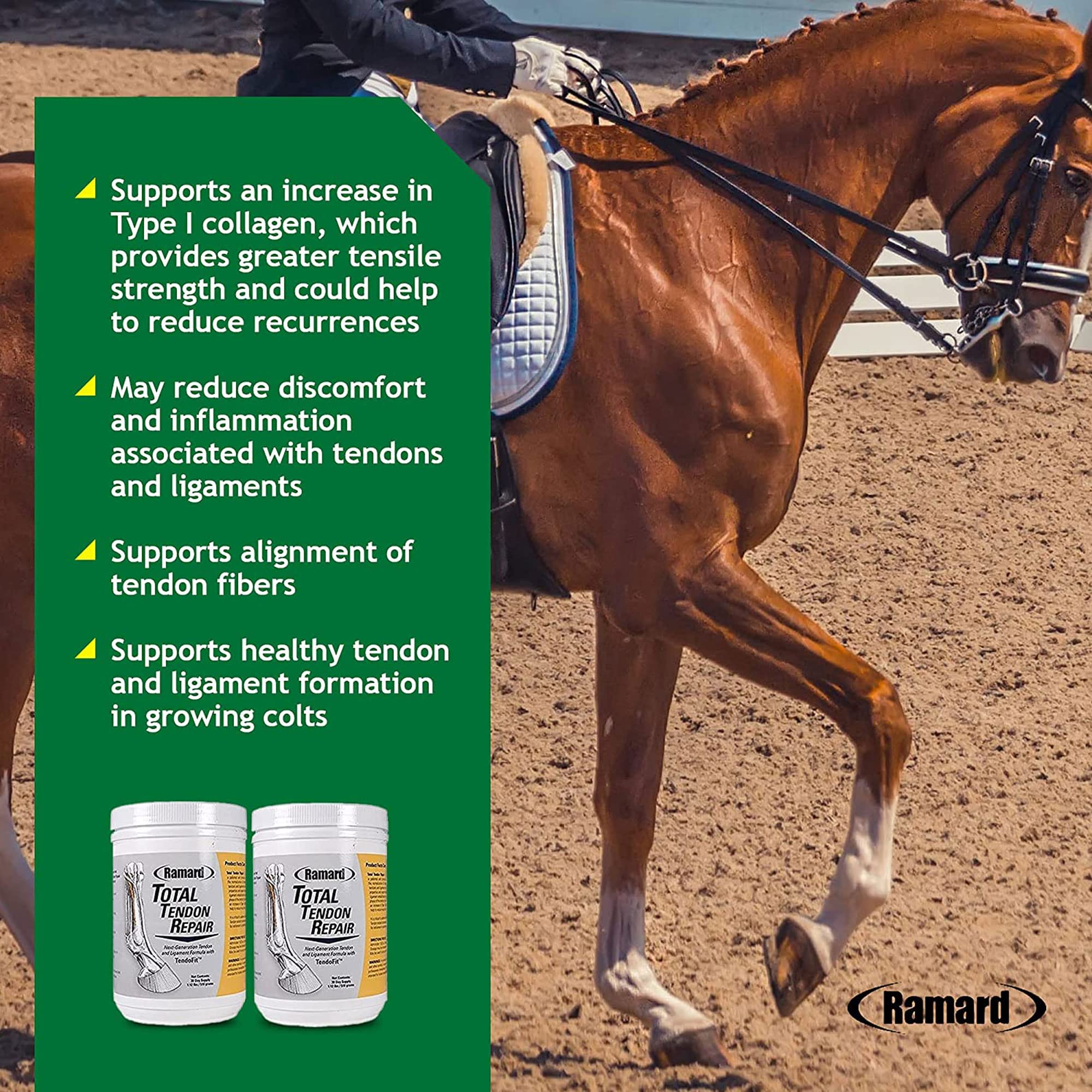 Ramard Total Tendon Repair Supplement for Horses Advanced Formula for
