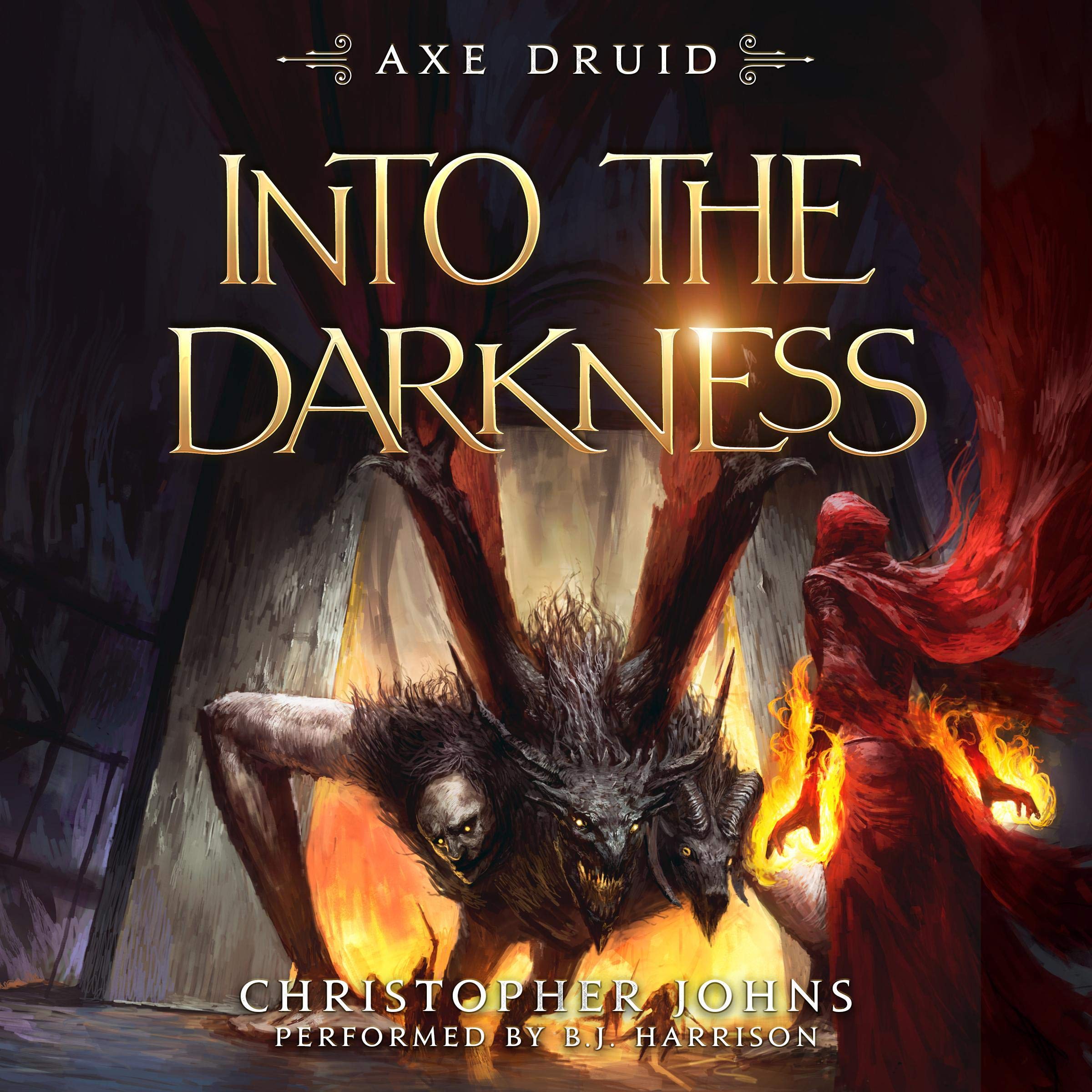 Cover art for Into the Darkness: A Fantasy LitRPG Adventure