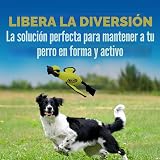 Ver la foto 4