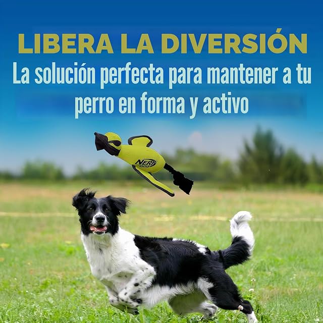 Foto 4 de 7 de Nerf Dog - Patito de Lanzamiento de Tiro (16,5 cm), Color Verde