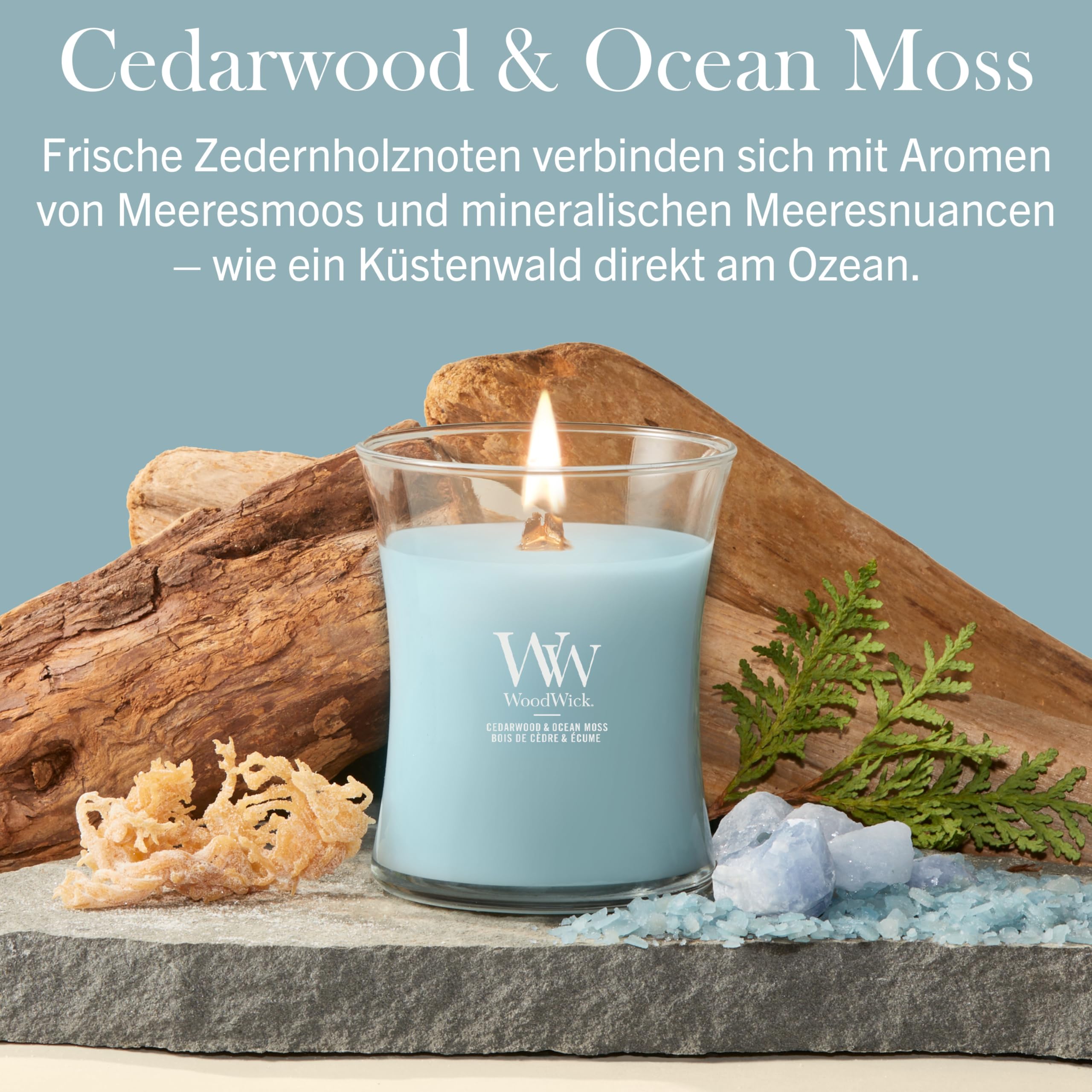 WoodWick Duftkerze | Mittlere Hourglass-Kerze | Cedarwood & Ocean Moss | Perfekte Geschenke für Frauen