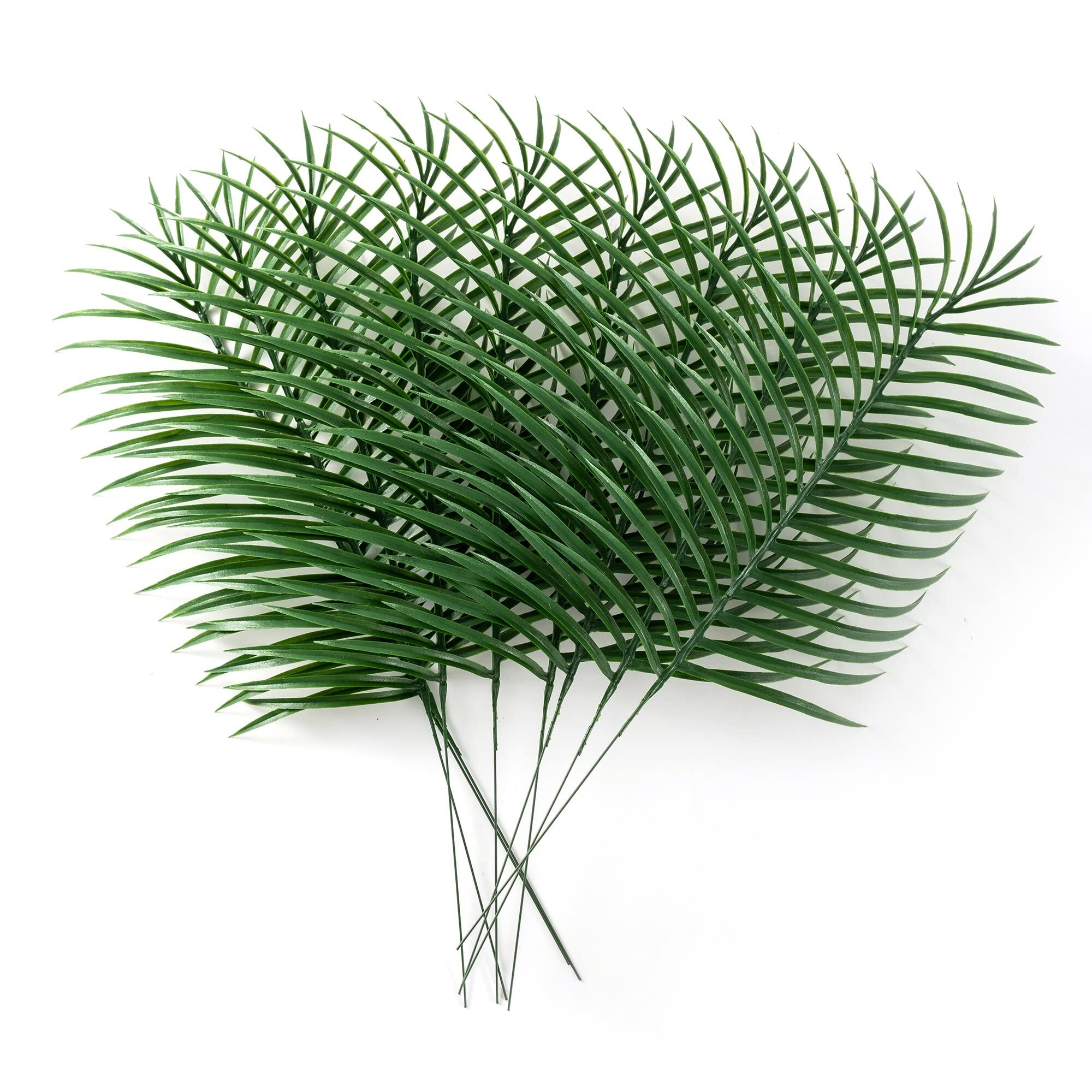 Amazon.de: Groe knstliche Palmbltter, Palmzweige fr Palmsonntag, 12  Stck groe Palmenbltter, tropische Bltter mit Stiel, Palmbltter,  Partydekorationen, Palmenbltter, Dekoration (50.8 cm)