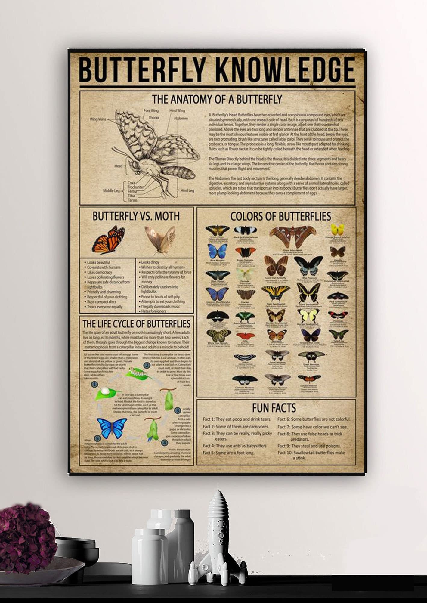 Bioprocess Butterfly Knowledge Poster, Butterflies L Gift, Butterfly, Butterfly, Butterfly Decor, Types of Butterflies Poster, Decor Poster Wall Art Tin Sign Decor Metal Sign Poster 12X8 Inches
