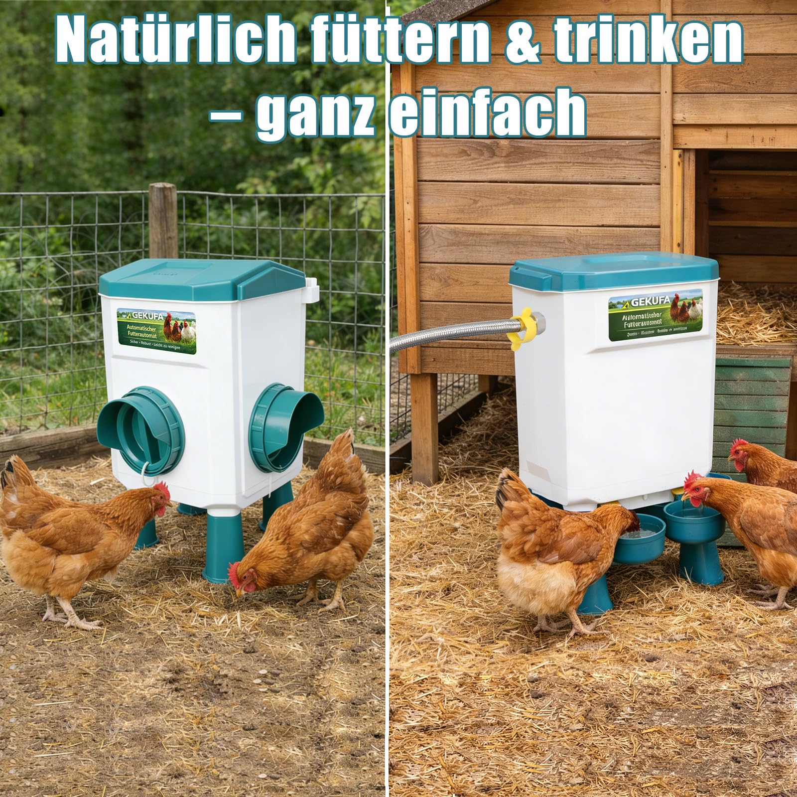 Futterautomat Hühner & Hühnertränke Set – 8 KG Futterspender & 7 L | Automatische Hühnertränke Kein Futterverlust, Robuster Kunststoff, Geflügelzubehör für Hühner & Enten