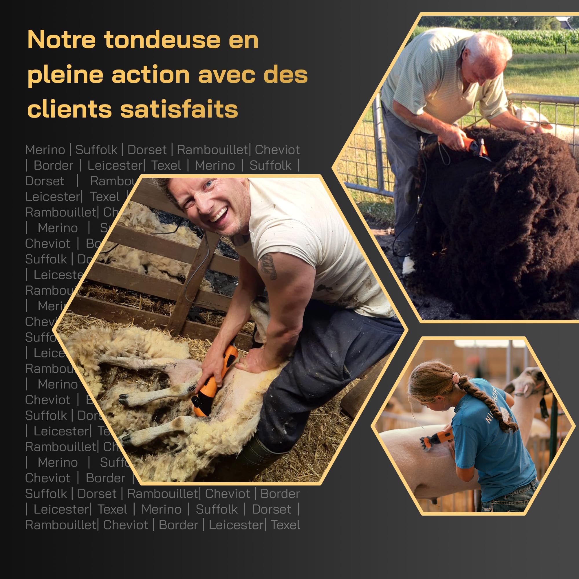 Tondeuse électrique pour moutons - Convient à toutes les races de moutons et à tous les pelages - Lames interchangeables - Moteur puissant - Faible vibration et faible bruit - Sans entretien