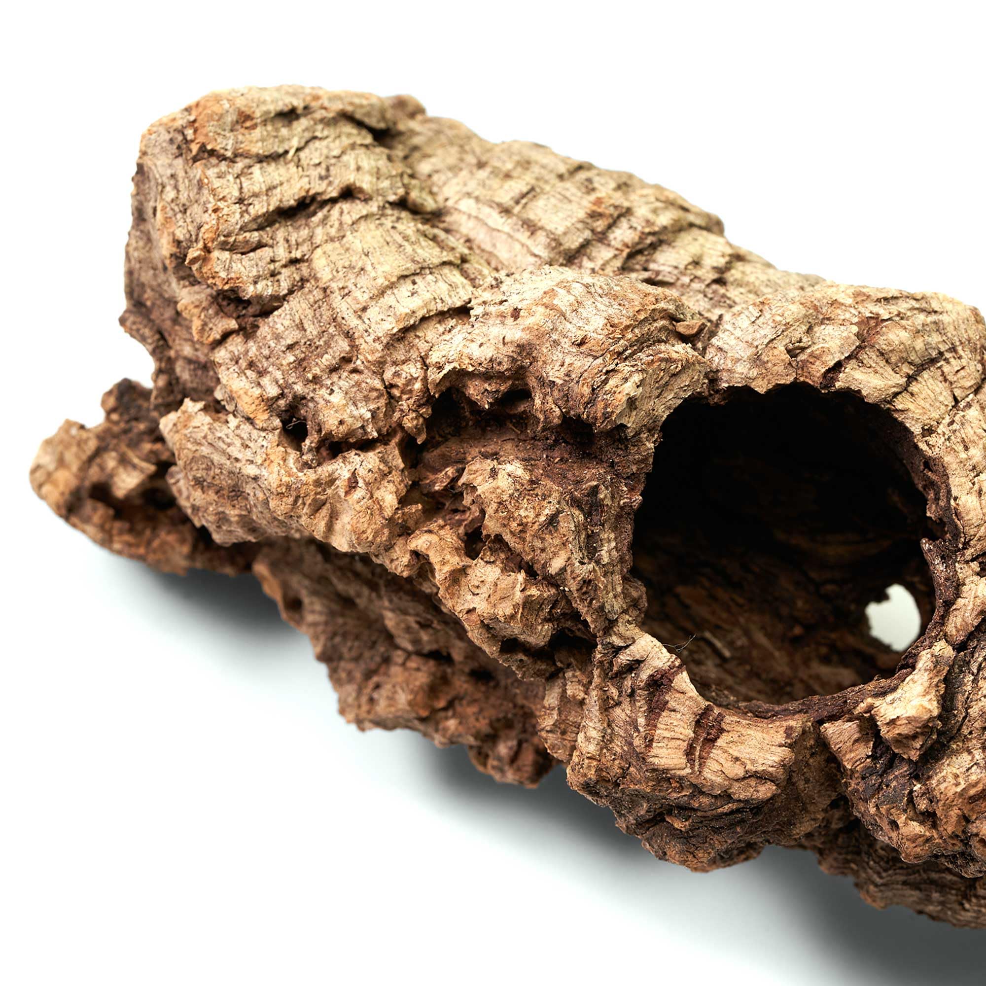 Naturkorkstücke für Terrarium & Paludarium | Unbehandelte Korkrinde 5-20cm | Dekoration & Basteln - 1000g