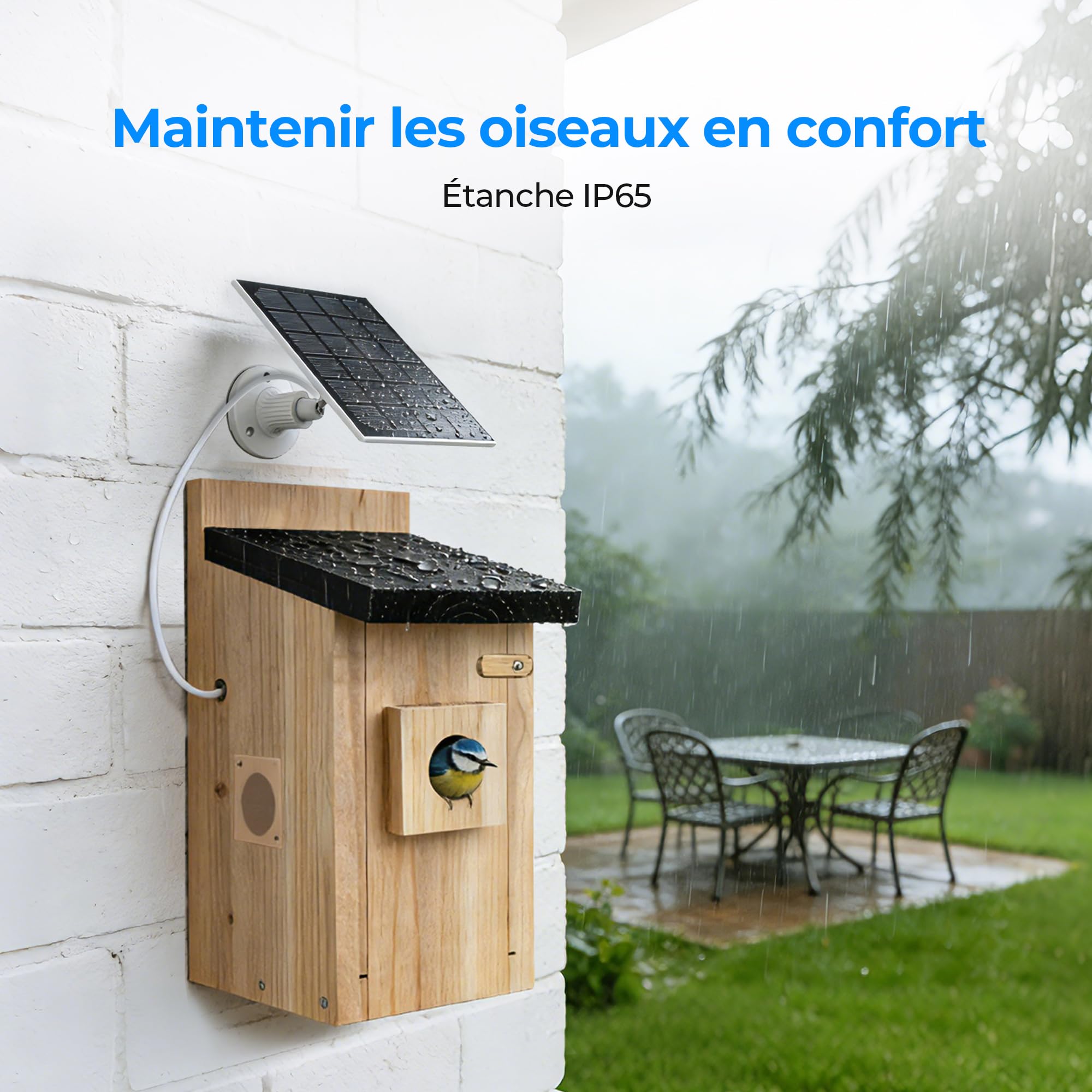 Nichoir à Oiseaux Extérieur avec Caméra 4MP - Maison pour Oiseaux avec Caméra Solaire, Observation en Direct de la Nidification, Étanche IP65, WiFi 2.4G, Kit de Montage DIY