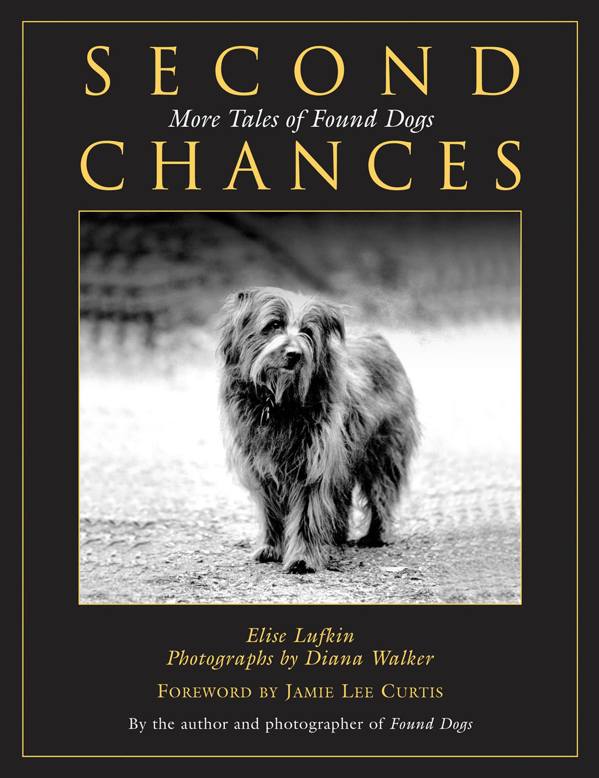 Buy Second Chances: More Tales Of Found Dogs — BookShops.in